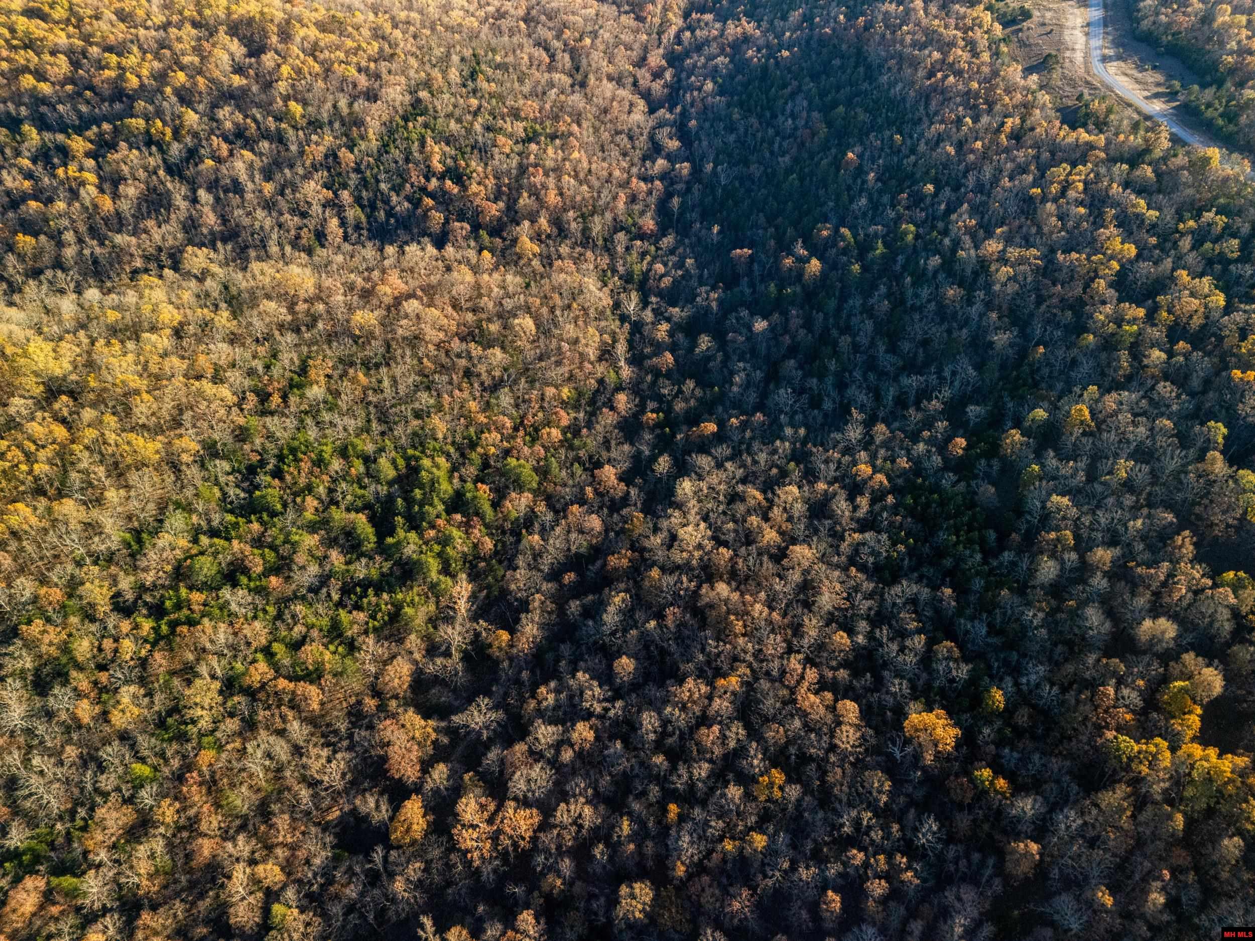 Tract 20 Providence Ridge Road