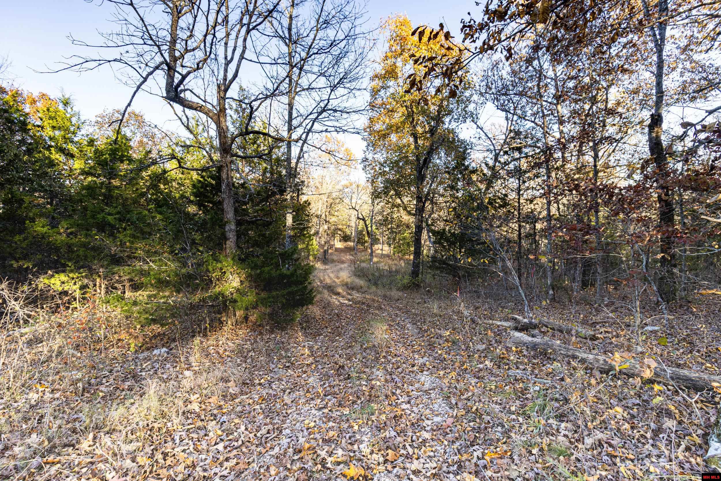 Tract 20 Providence Ridge Road