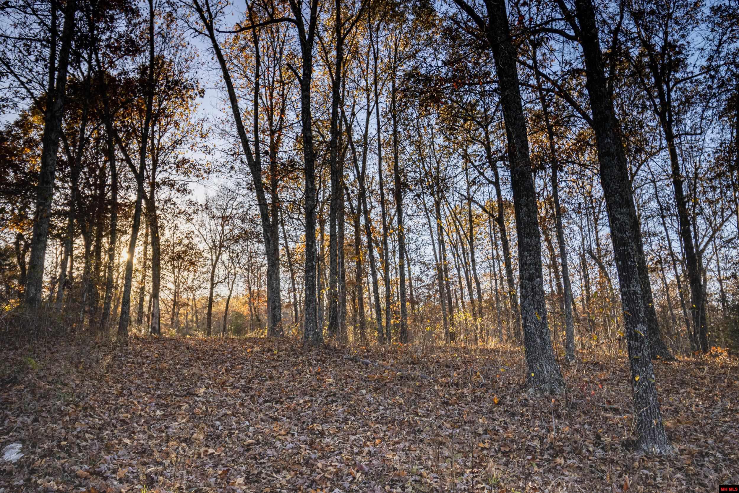 Tract 21 Providence Ridge Road