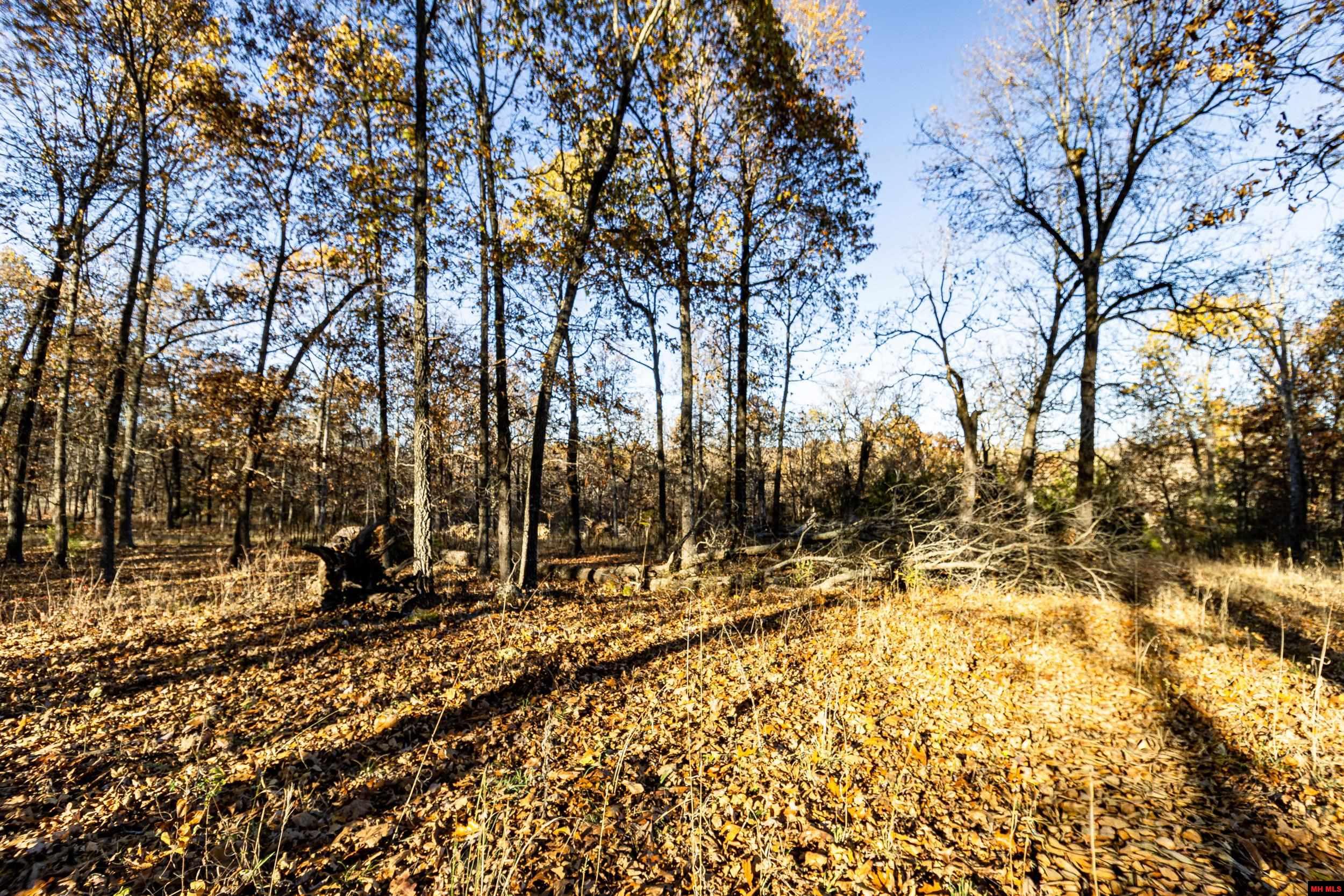 Tract 21 Providence Ridge Road