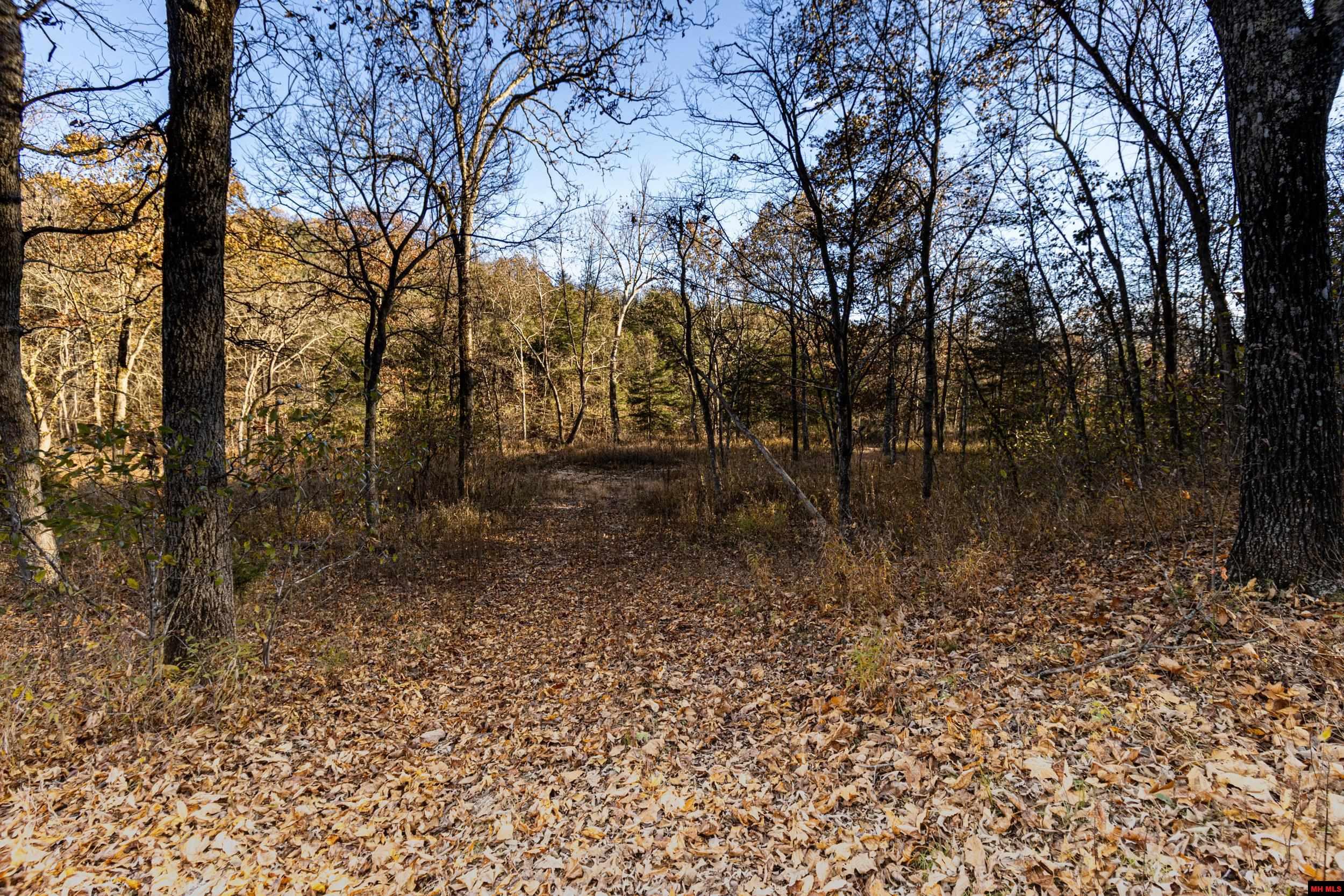 Tract 21 Providence Ridge Road