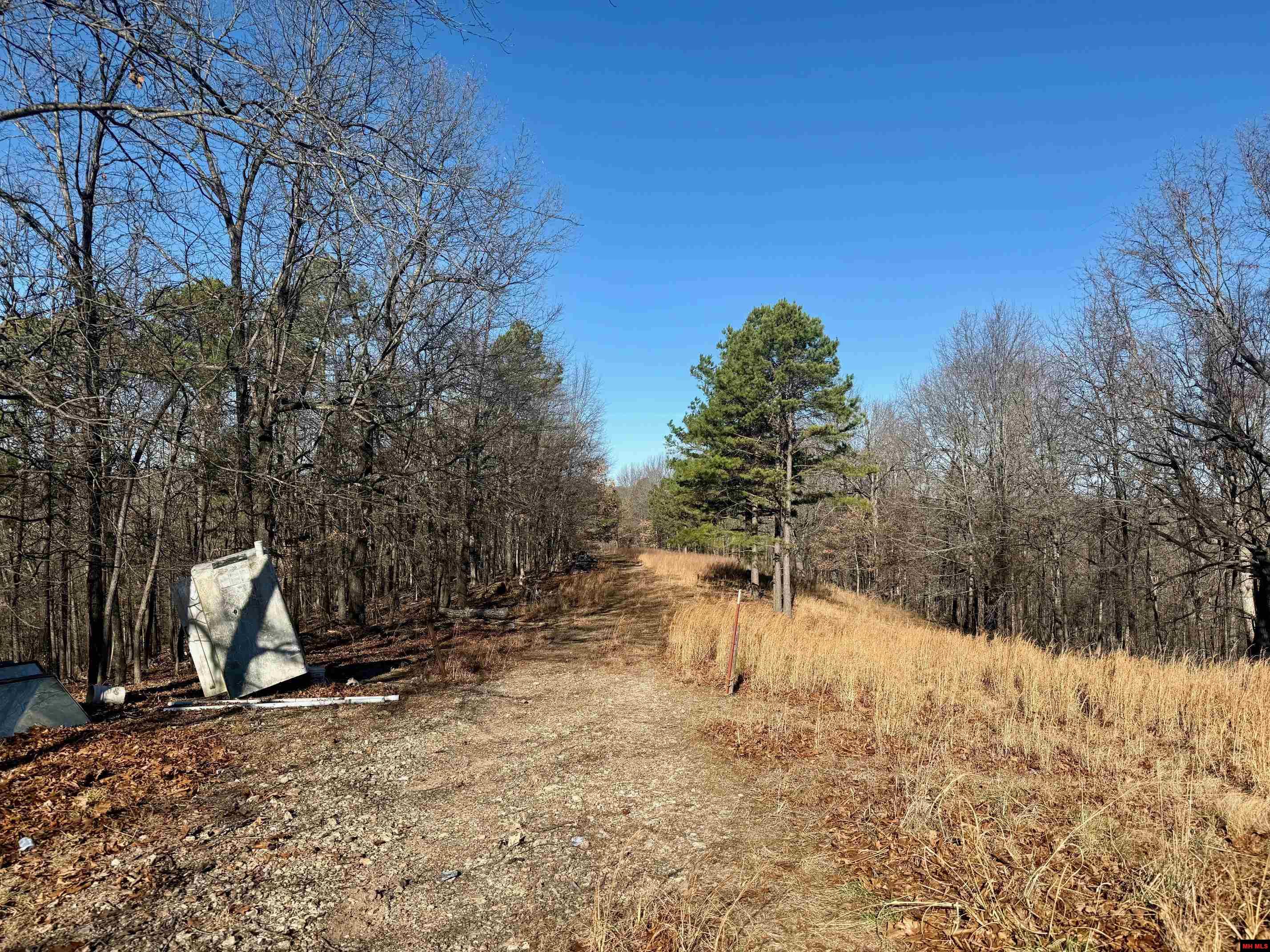 251 Cold Mountain Terrace