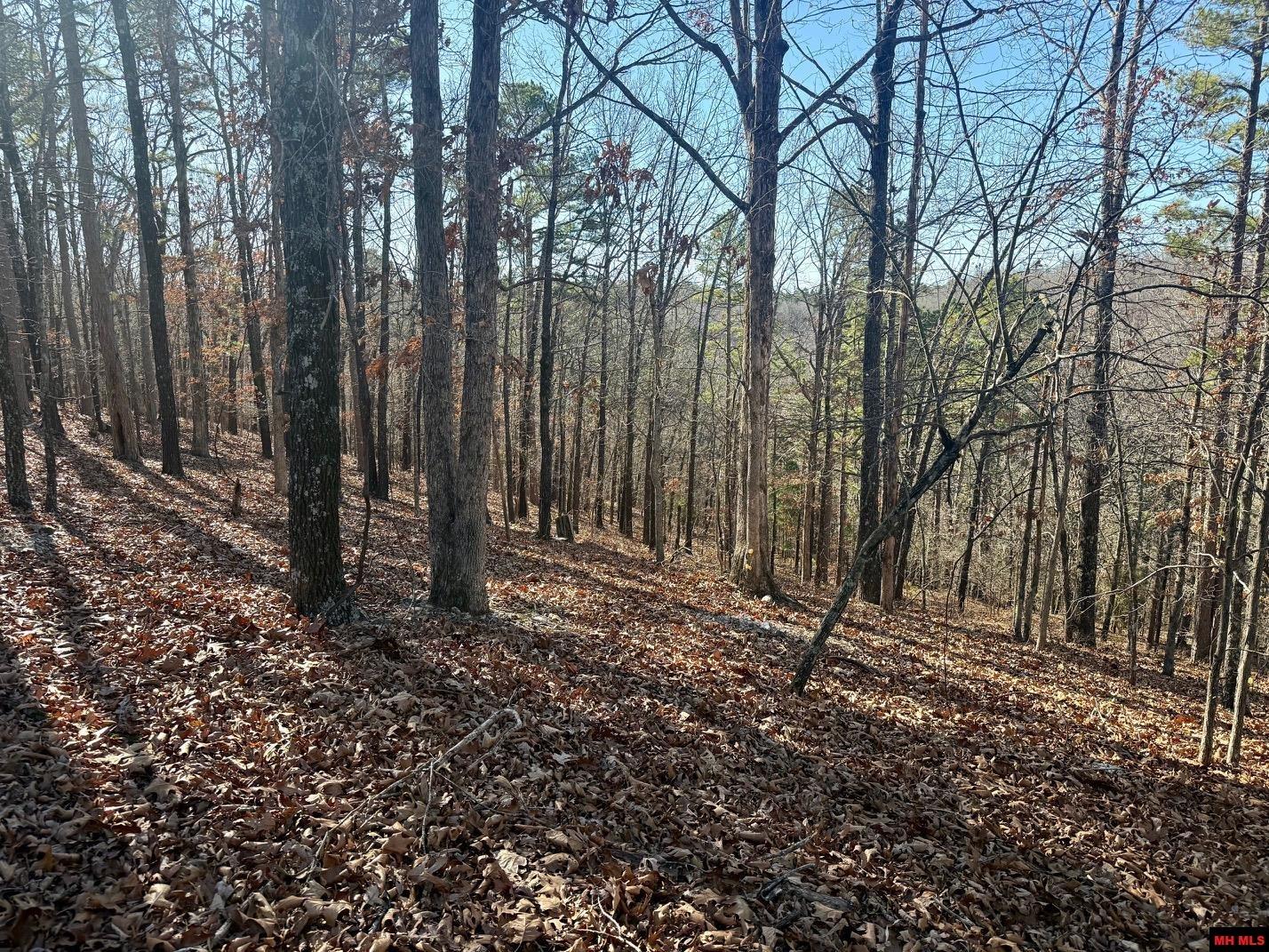 251 Cold Mountain Terrace