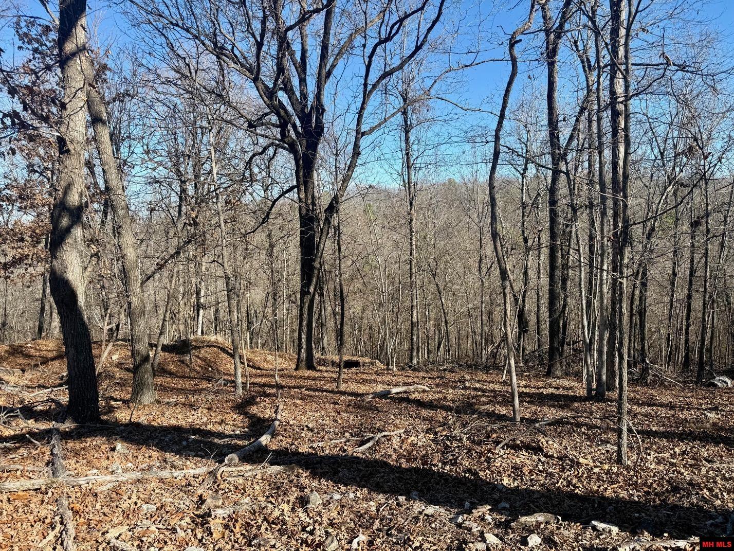 251 Cold Mountain Terrace