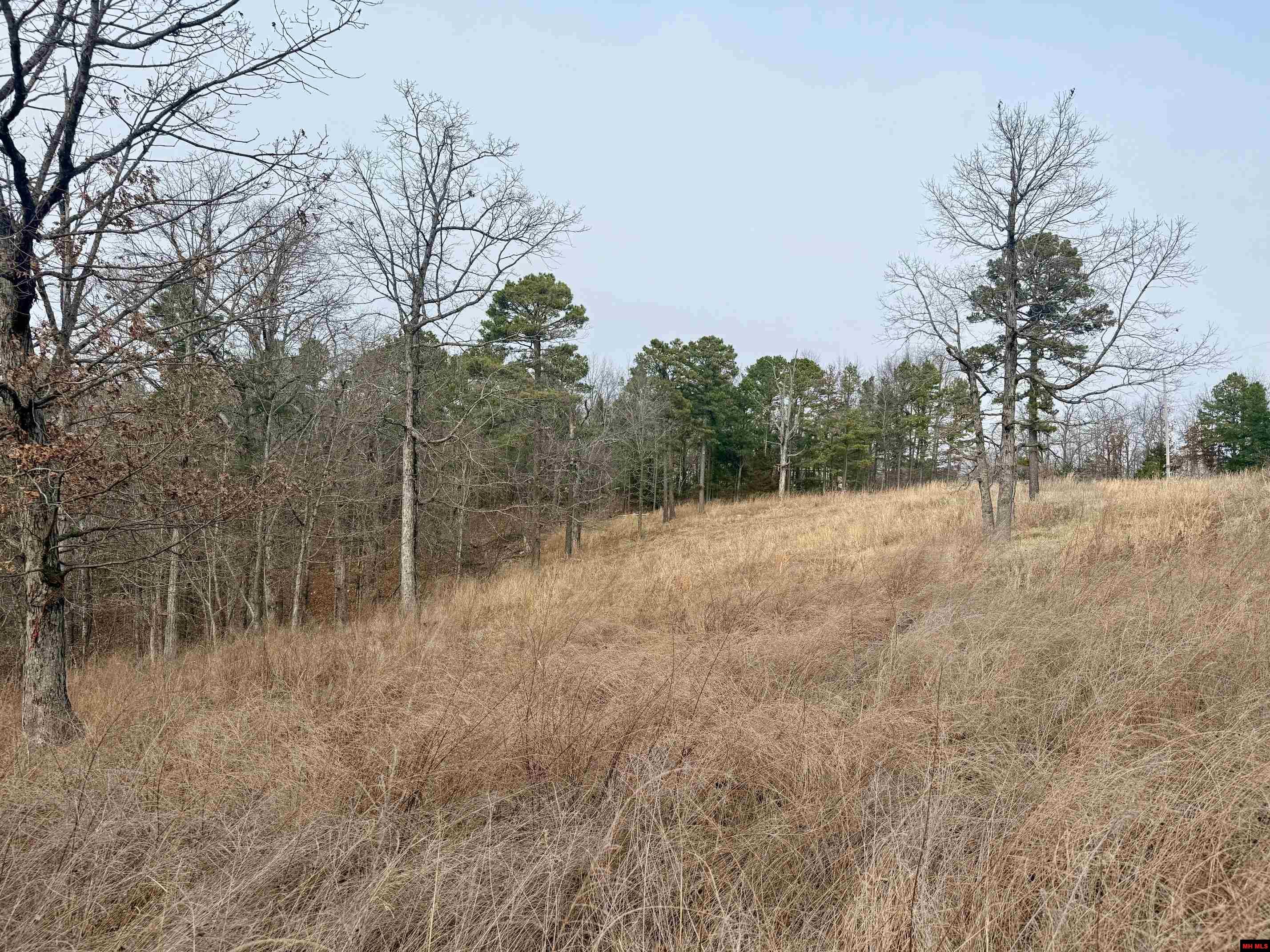 251 Cold Mountain Terrace