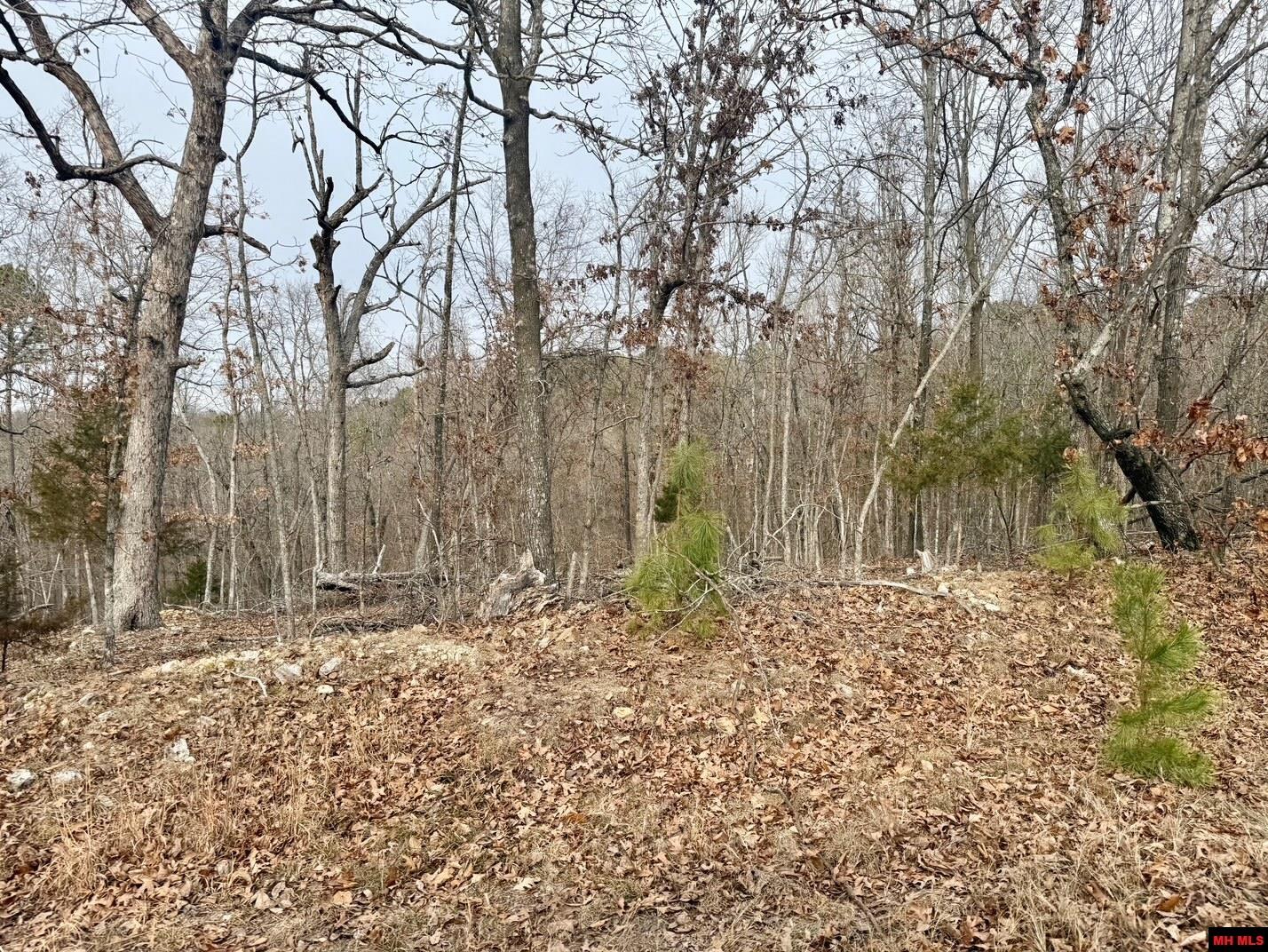 251 Cold Mountain Terrace