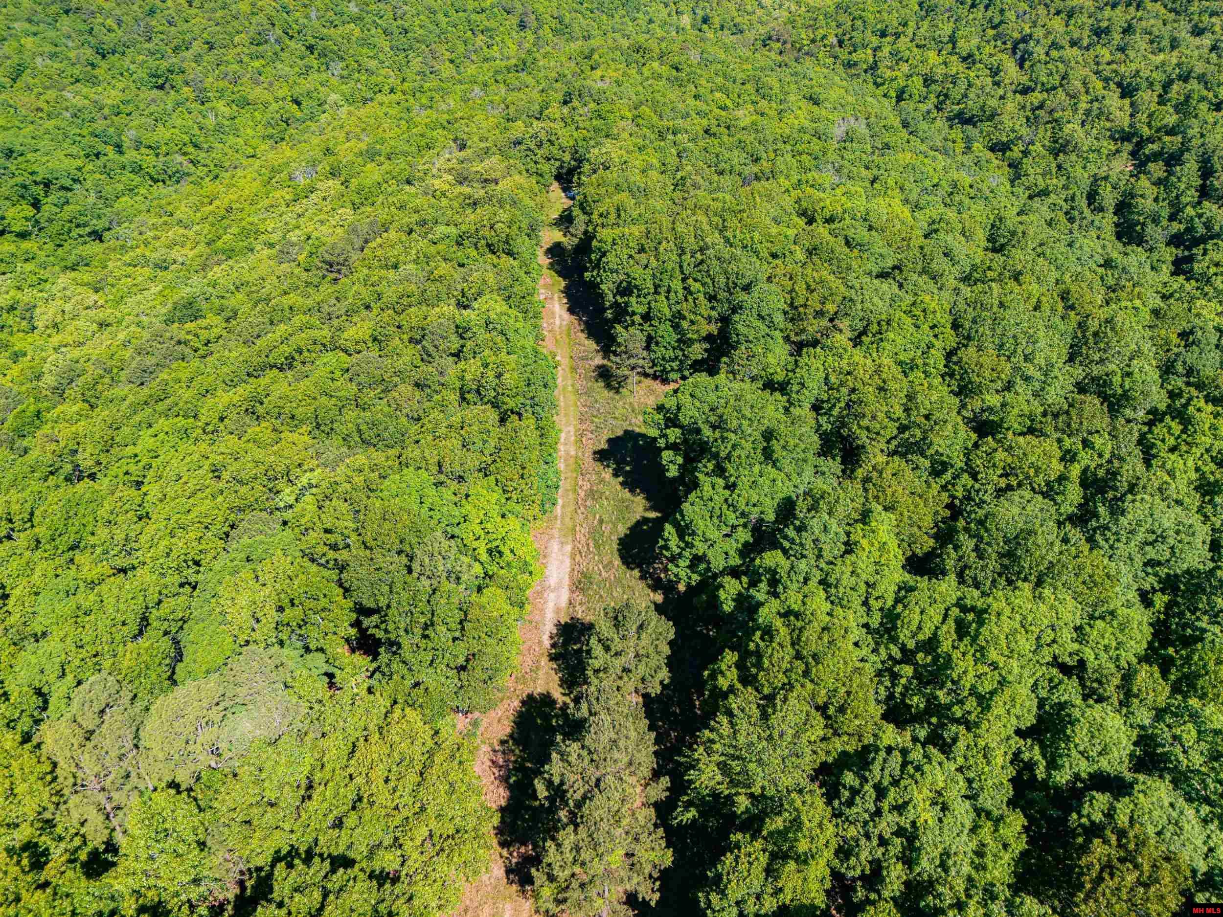 251 COLD MOUNTAIN TERRACE Yellville, AR 72687