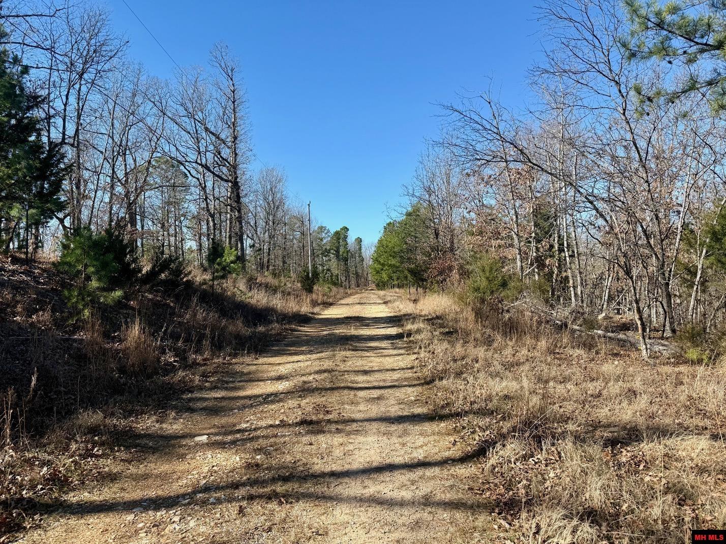 251 Cold Mountain Terrace