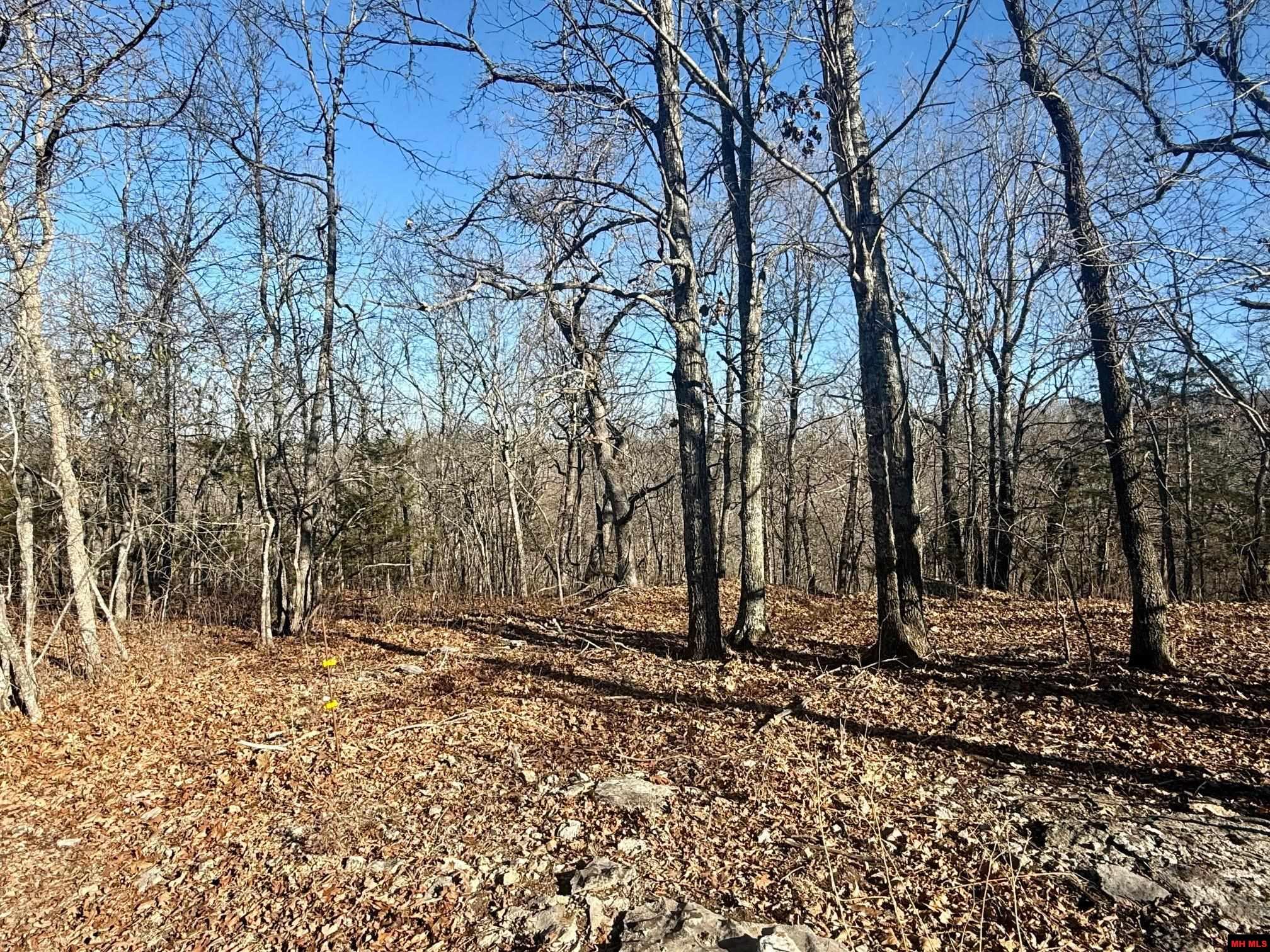 251 Cold Mountain Terrace