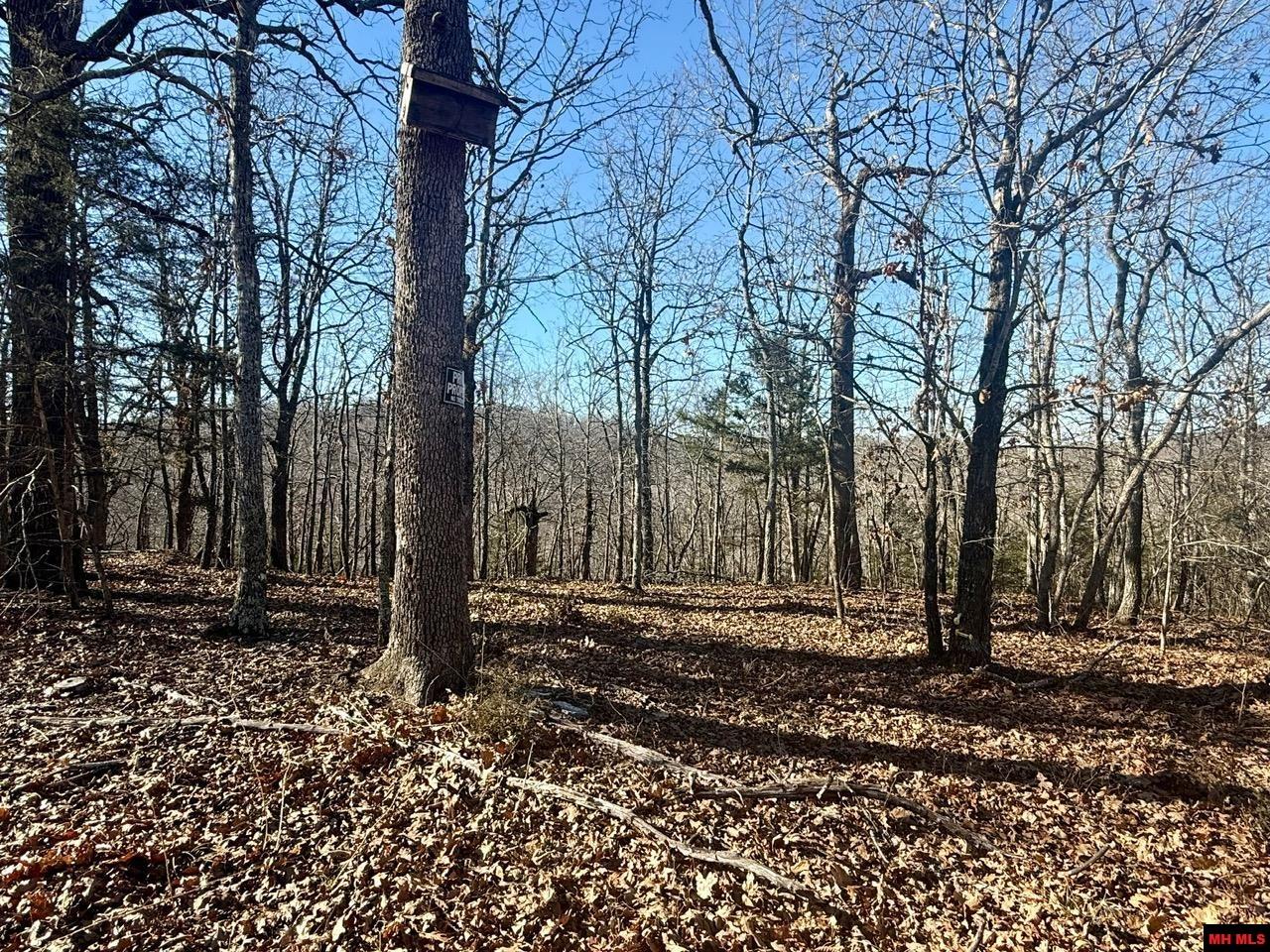 251 Cold Mountain Terrace