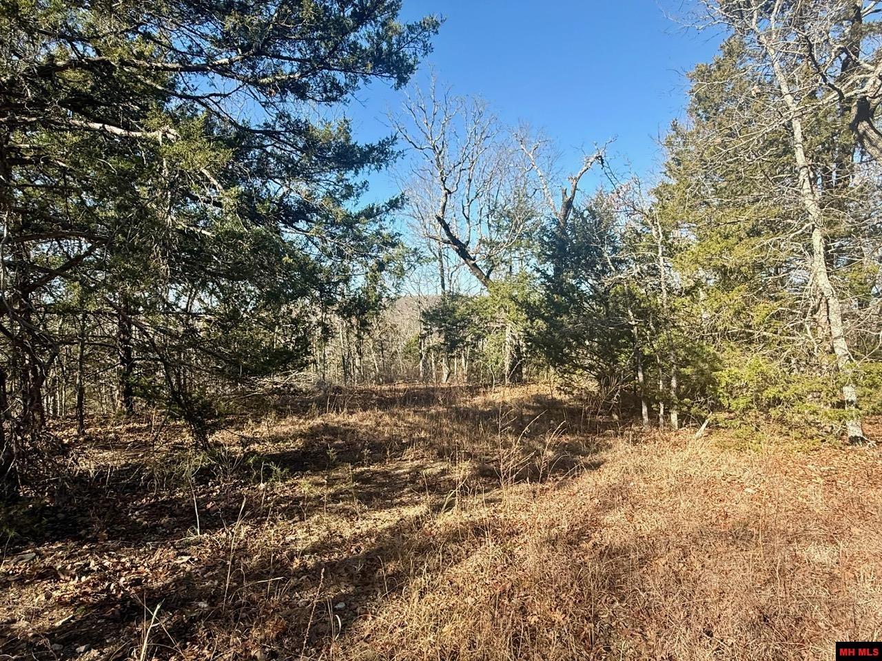 251 Cold Mountain Terrace