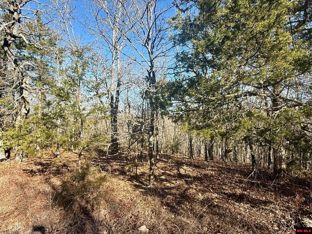 251 Cold Mountain Terrace