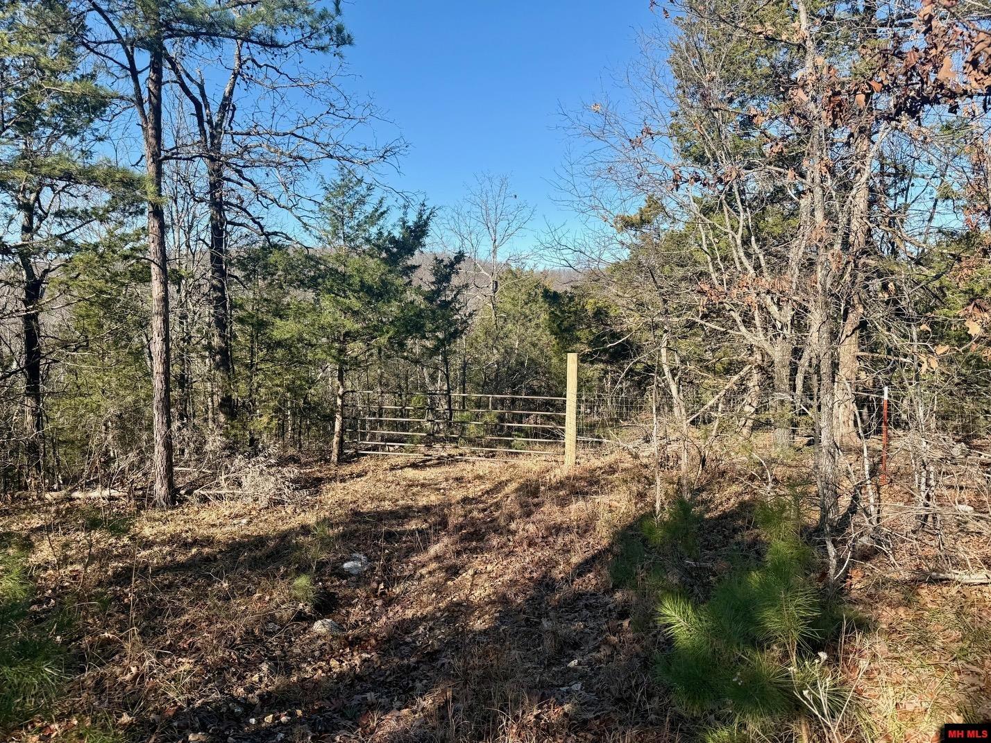 251 Cold Mountain Terrace