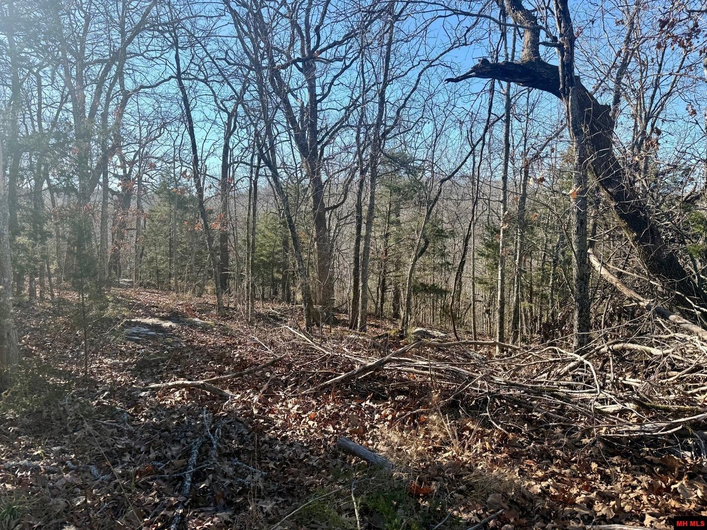 251 Cold Mountain Terrace