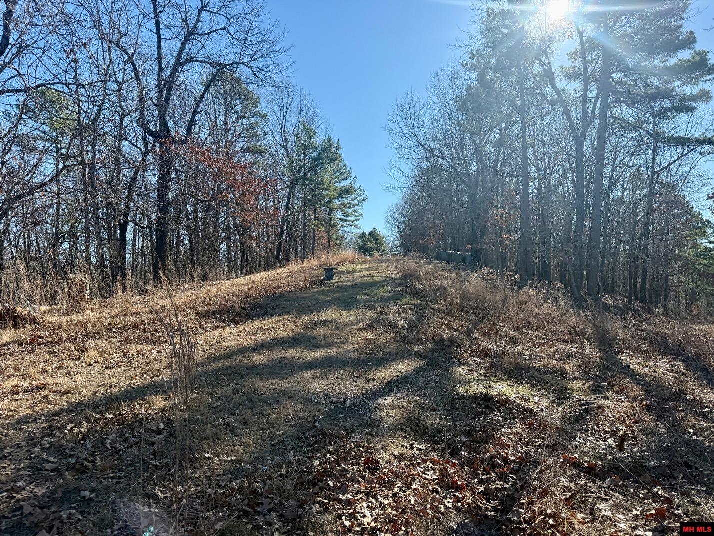 251 Cold Mountain Terrace