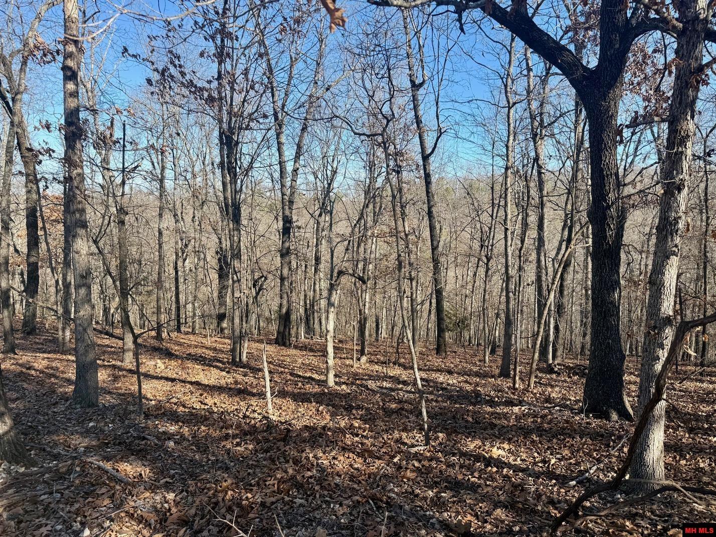 251 Cold Mountain Terrace