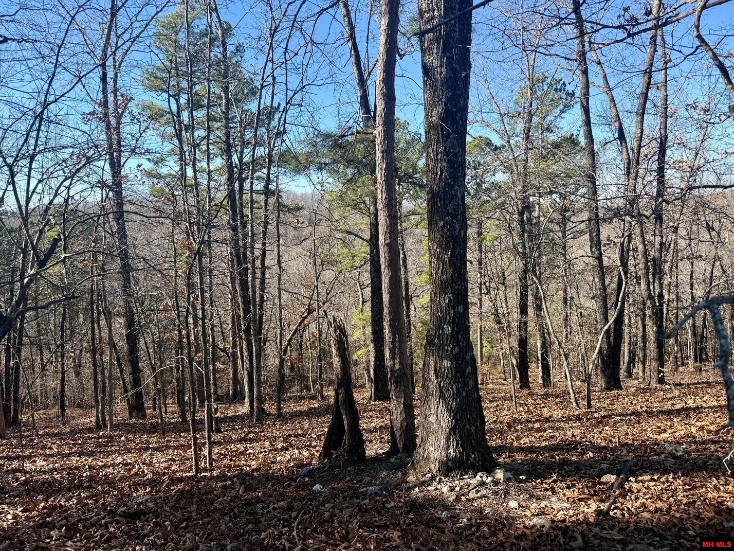 251 Cold Mountain Terrace