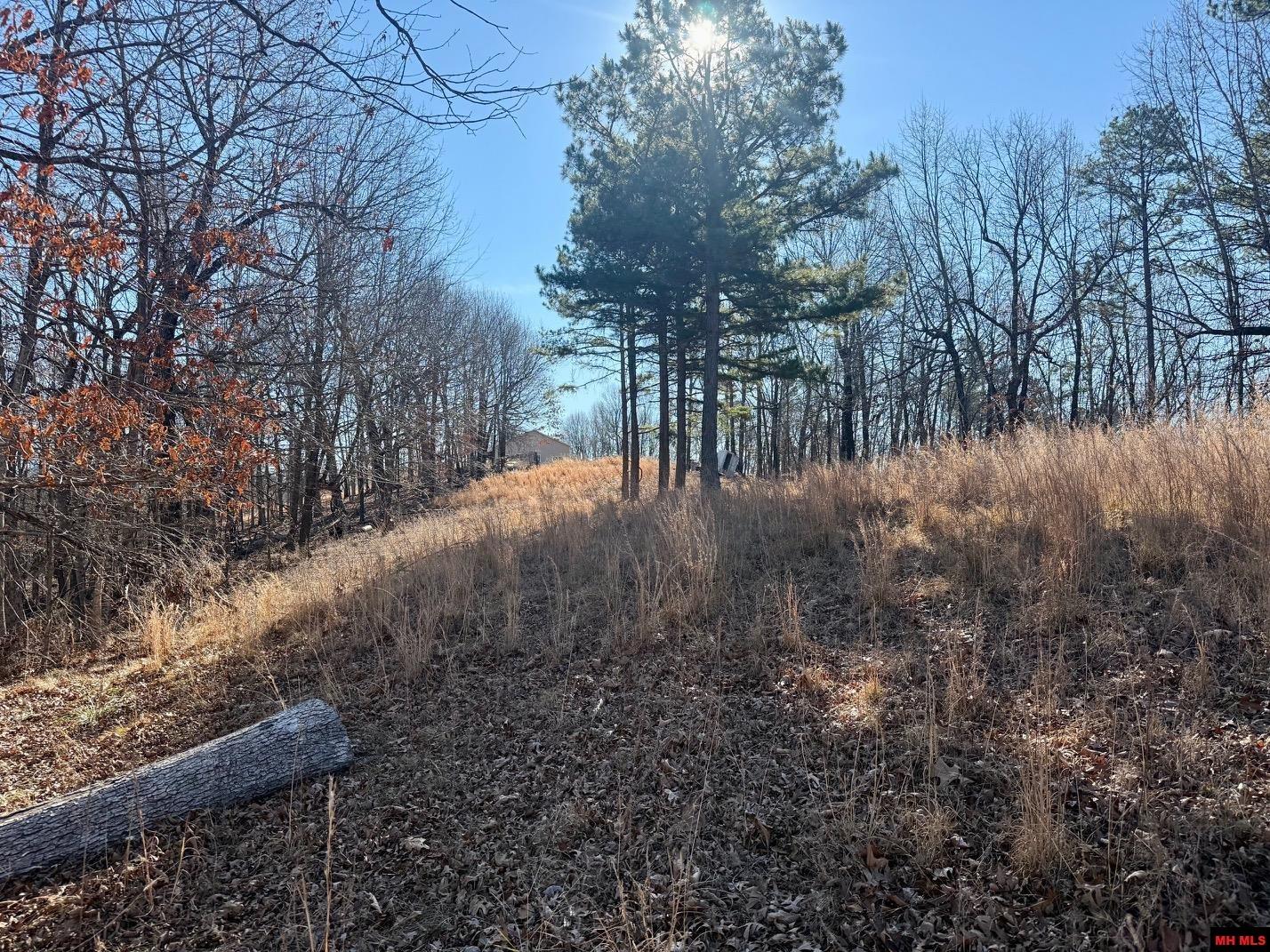 251 Cold Mountain Terrace