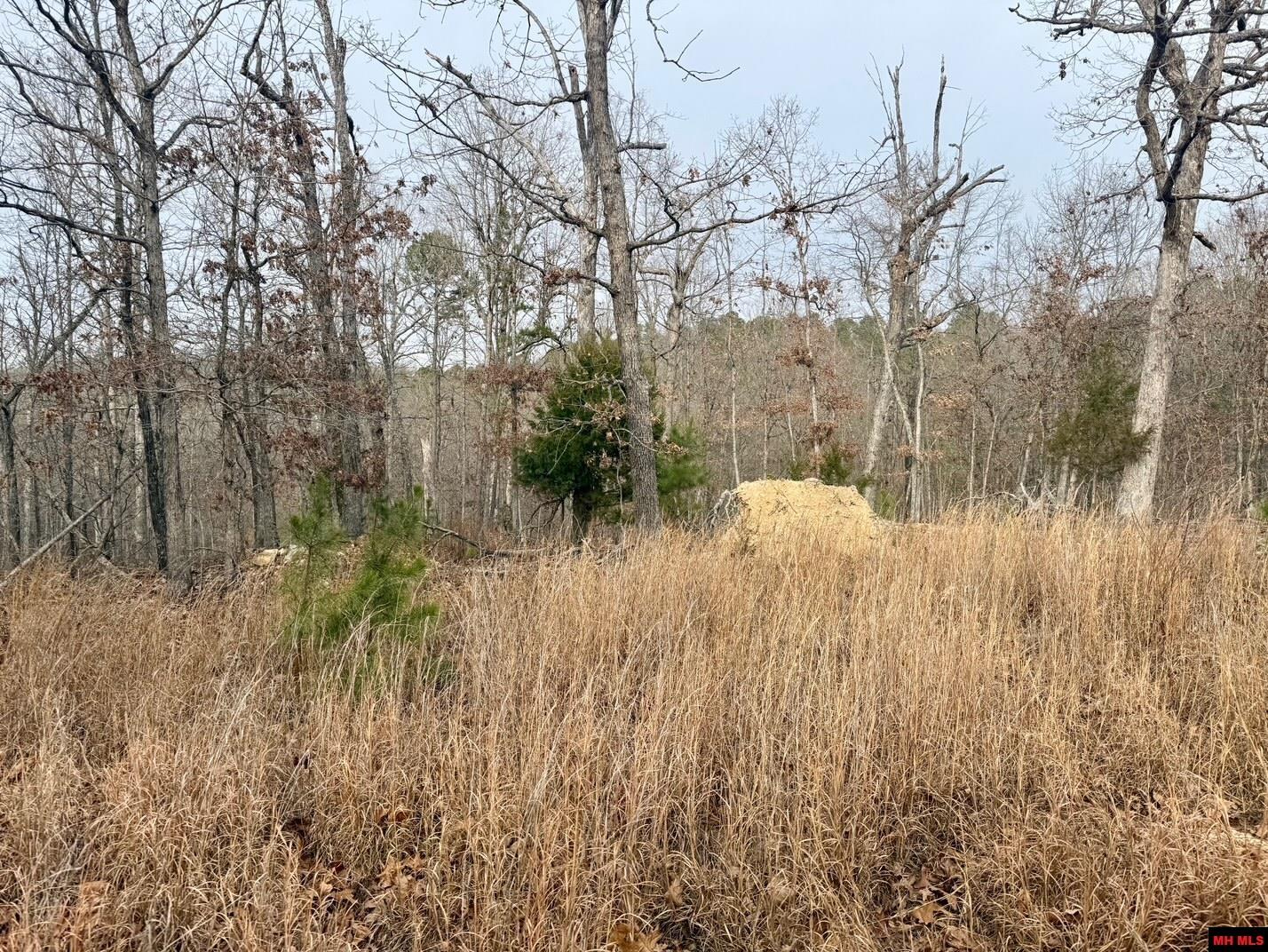 251 Cold Mountain Terrace