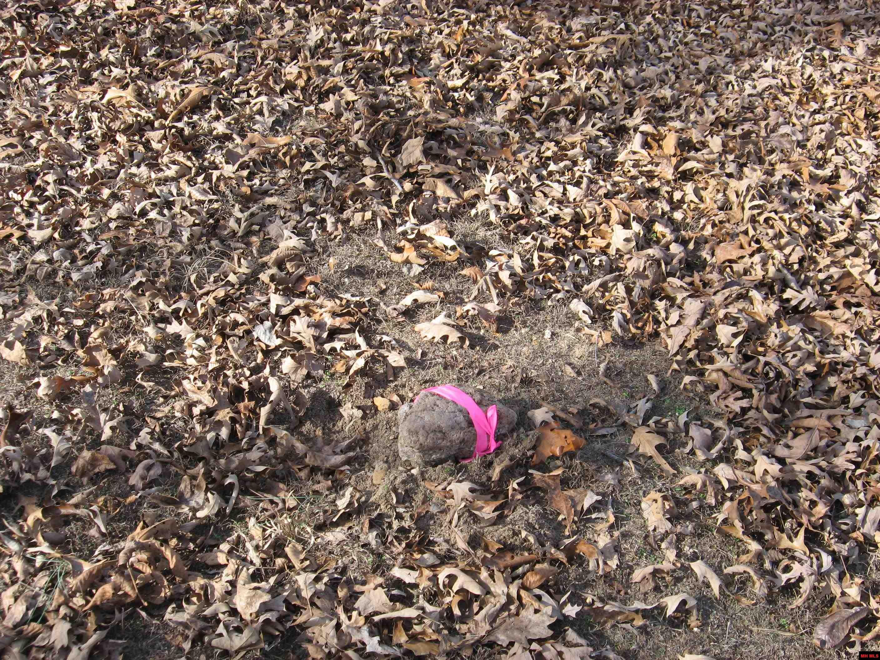 002-11058-005 Shoshoni Trail