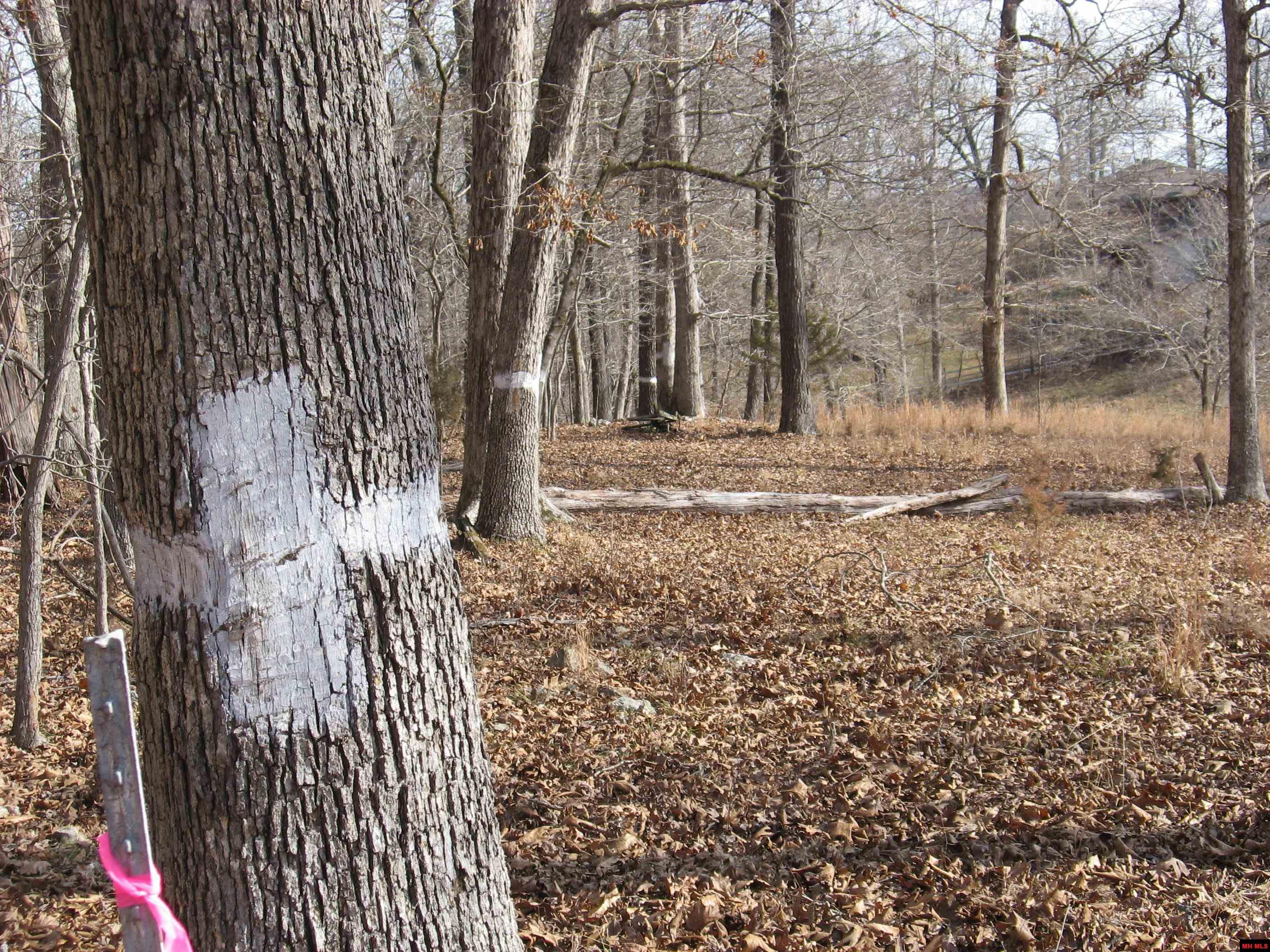 002-11058-005 Shoshoni Trail