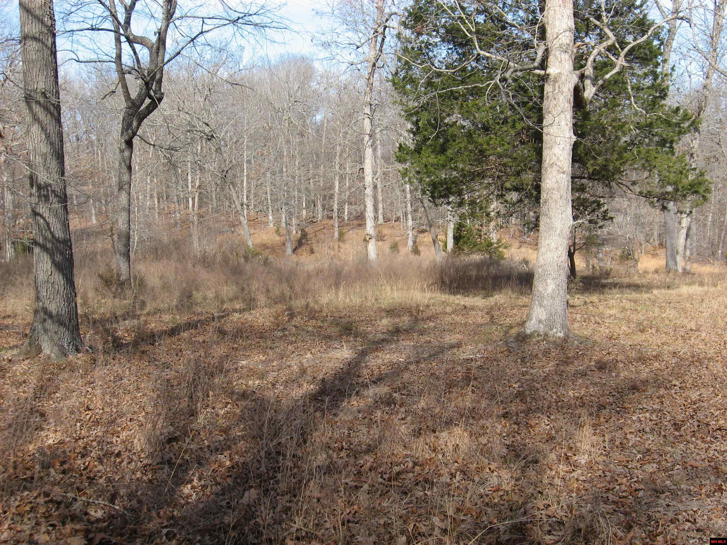 002-11058-005 Shoshoni Trail