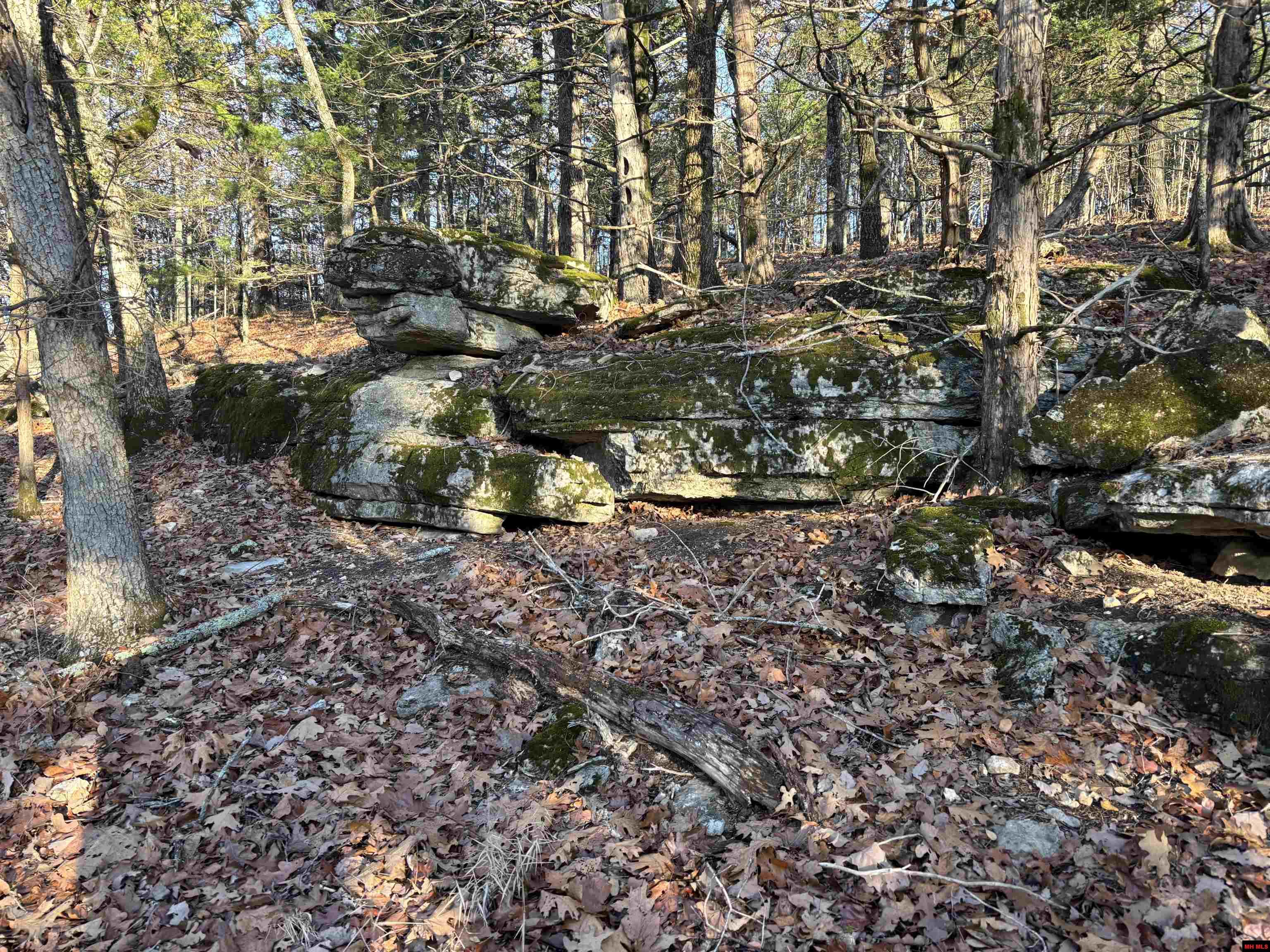 125-00033-000 Mc 6025