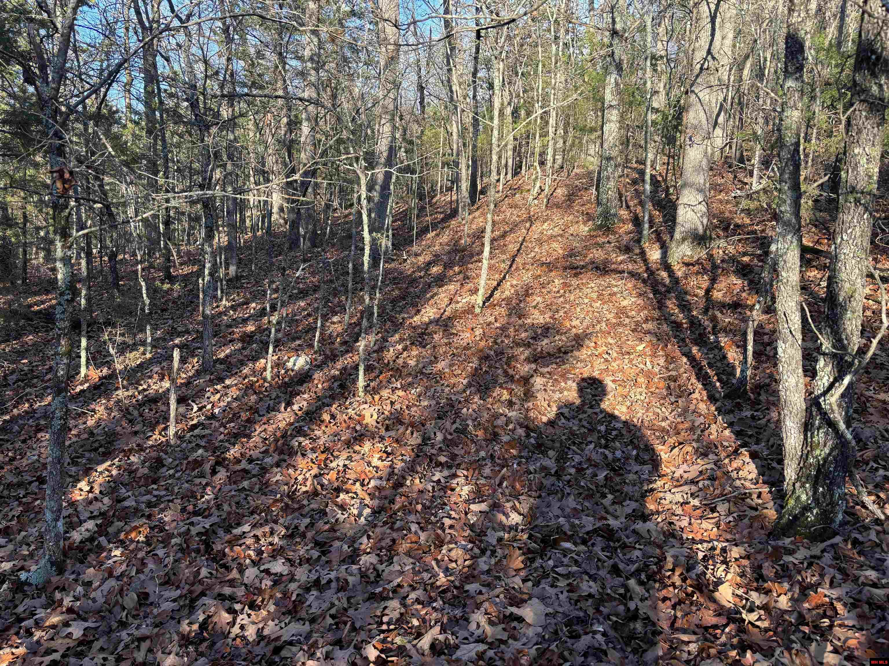 125-00033-000 Mc 6025