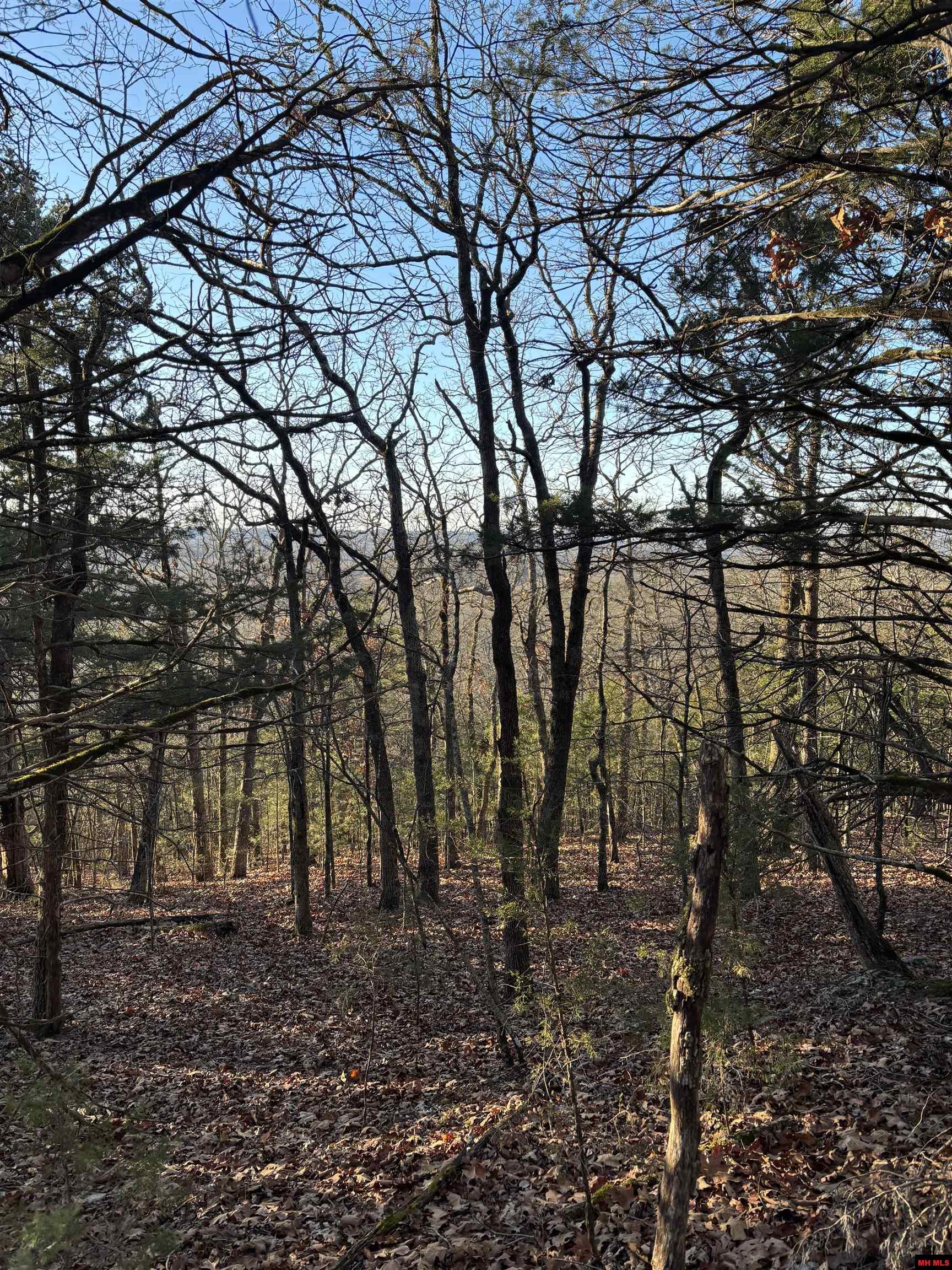 125-00033-000 Mc 6025