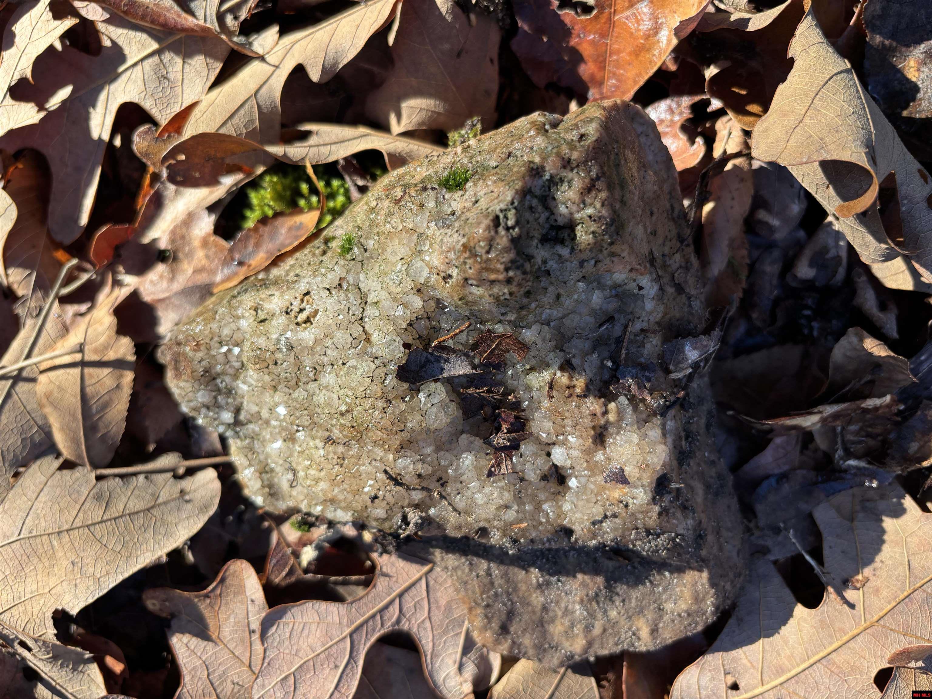 125-00033-000 Mc 6025