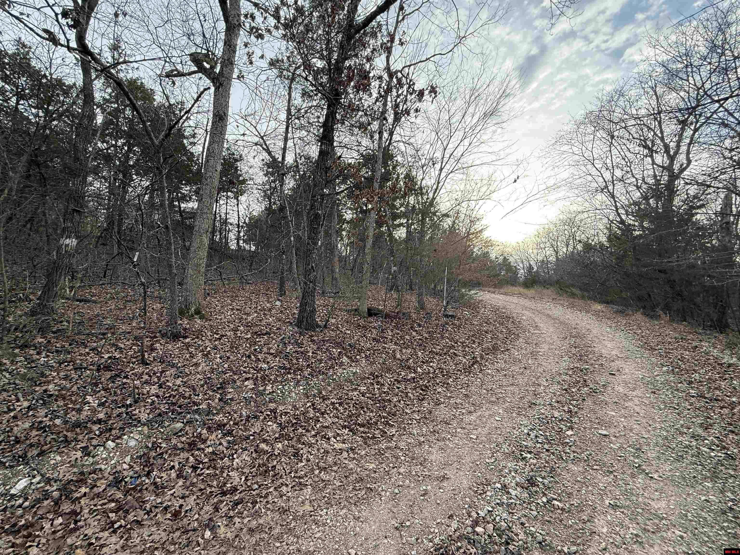 775-01692-000 Mallard Drive