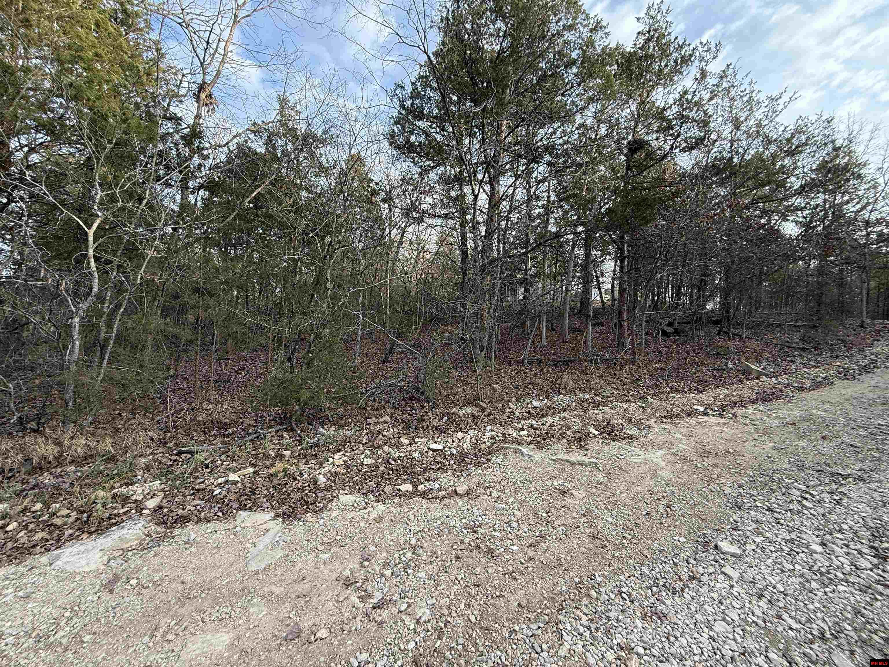 775-01692-000 Mallard Drive