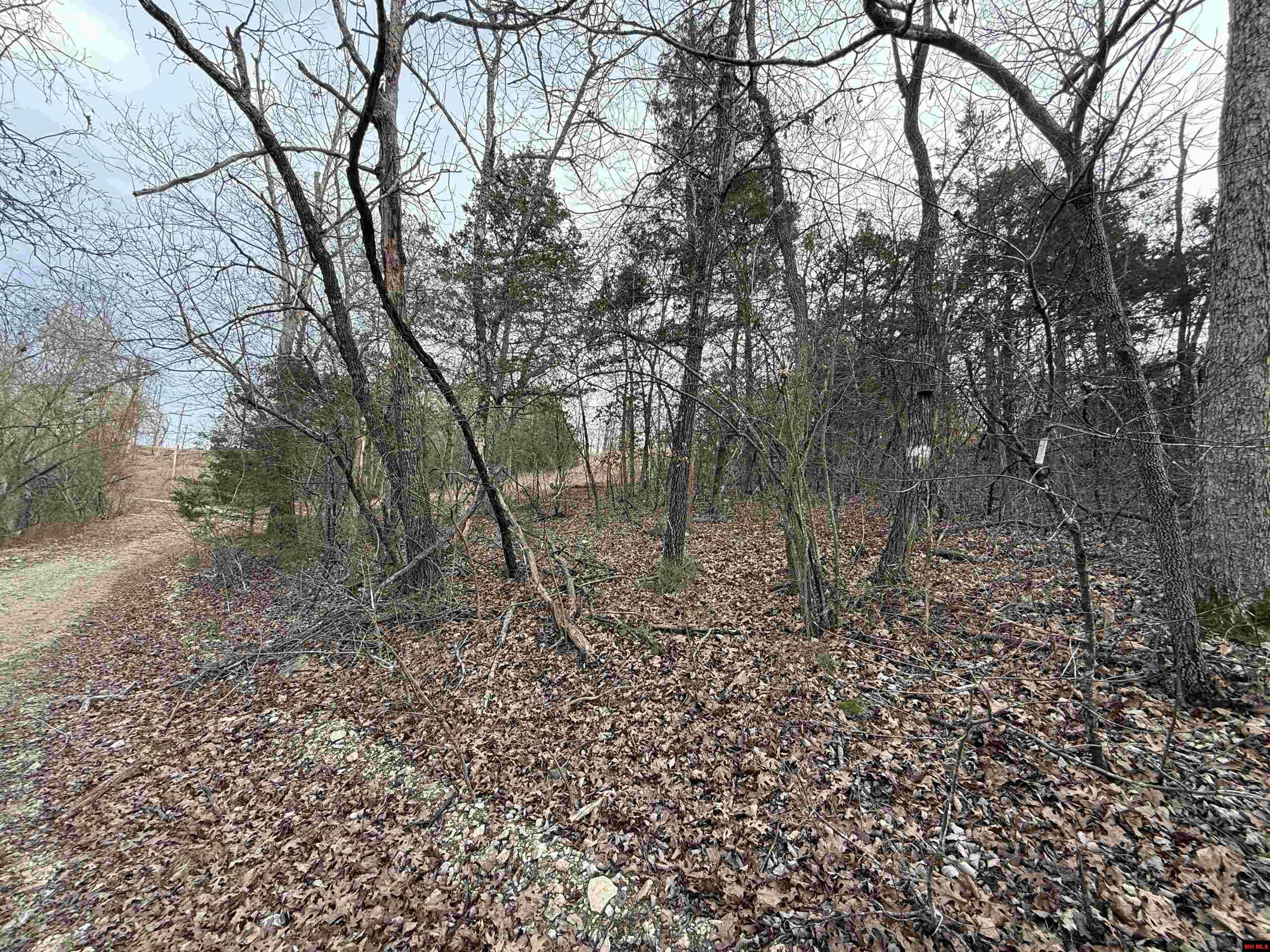 775-01692-000 Mallard Drive