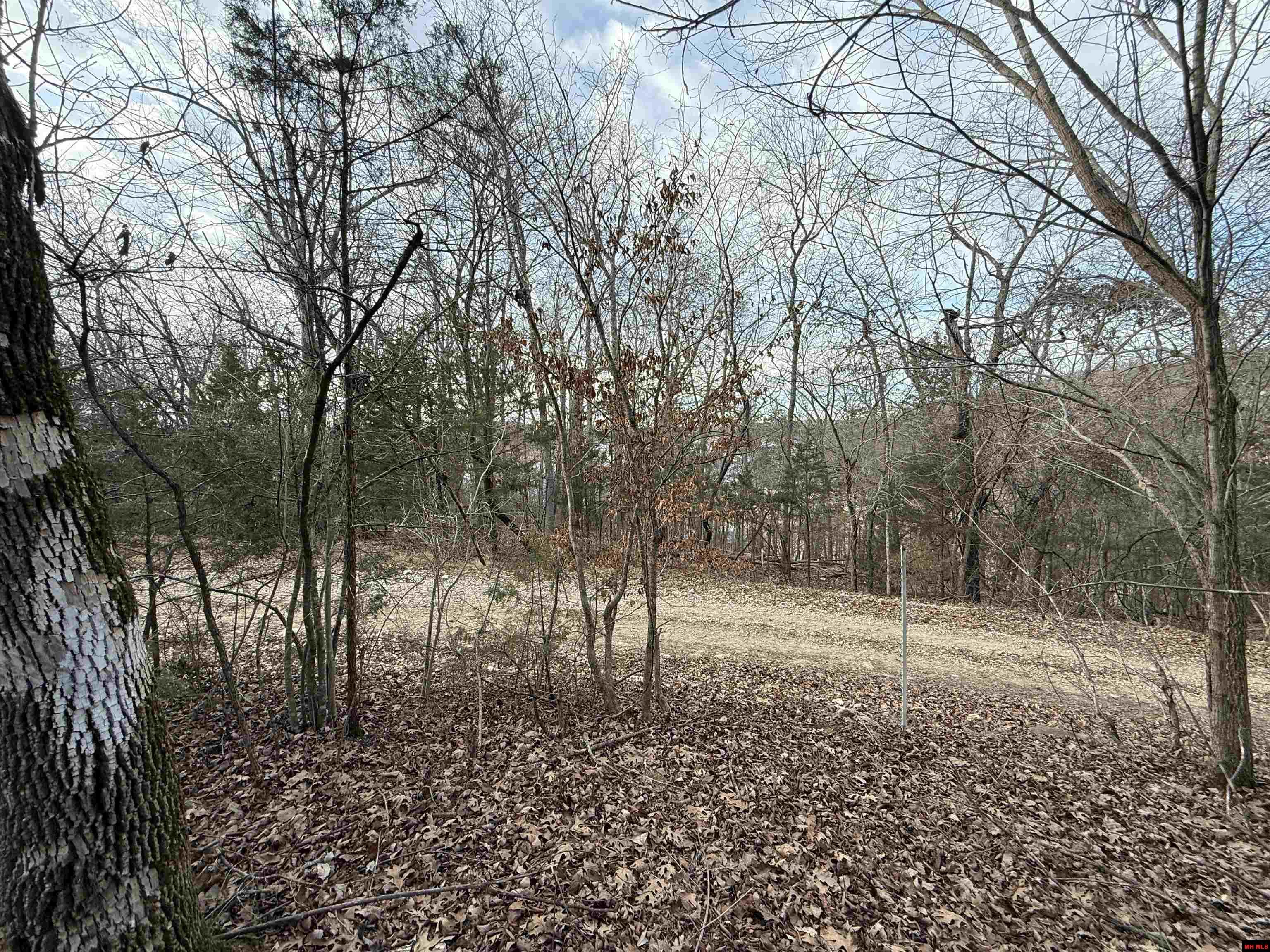 775-01692-000 Mallard Drive