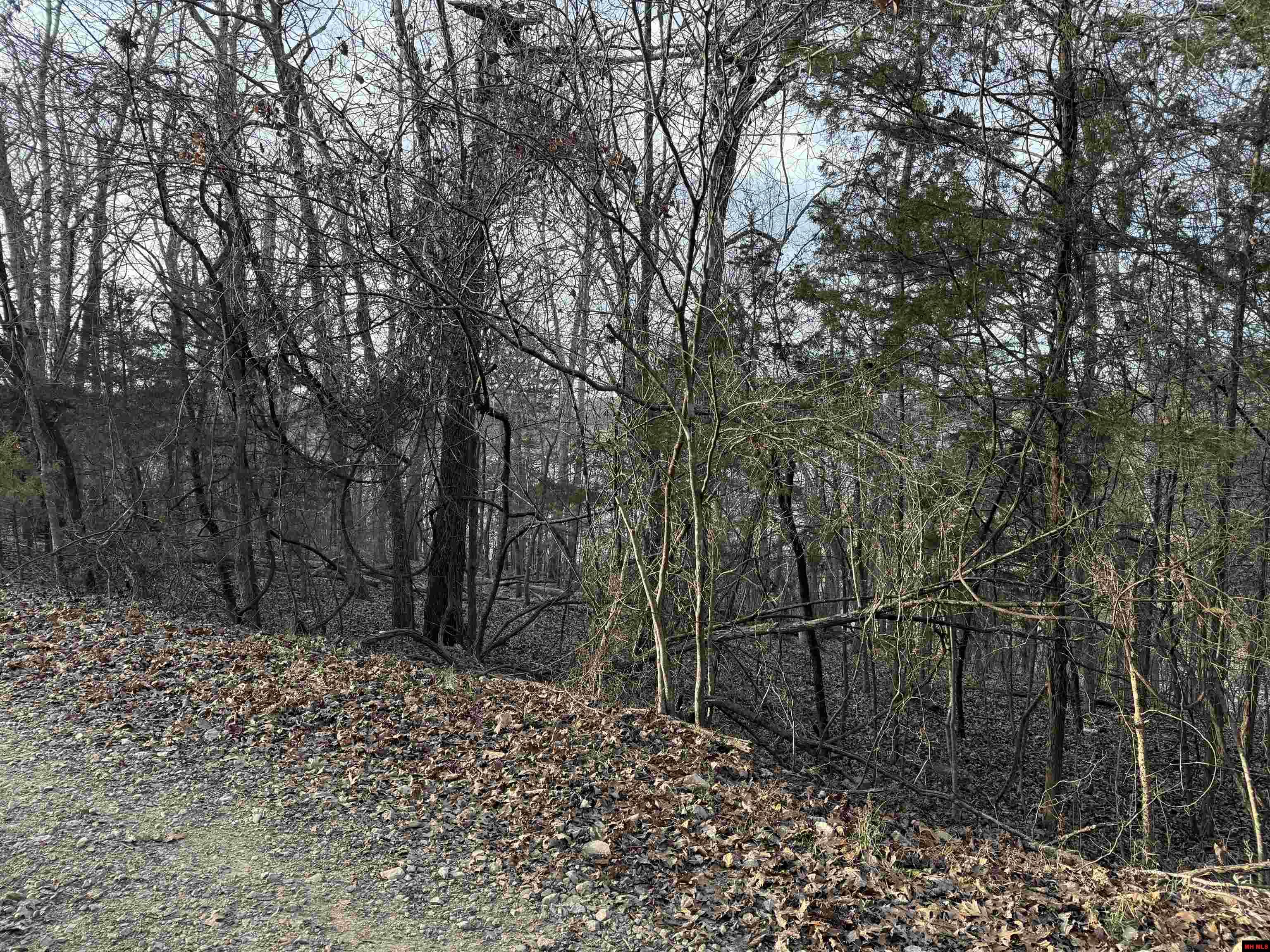 775-01692-000 Mallard Drive