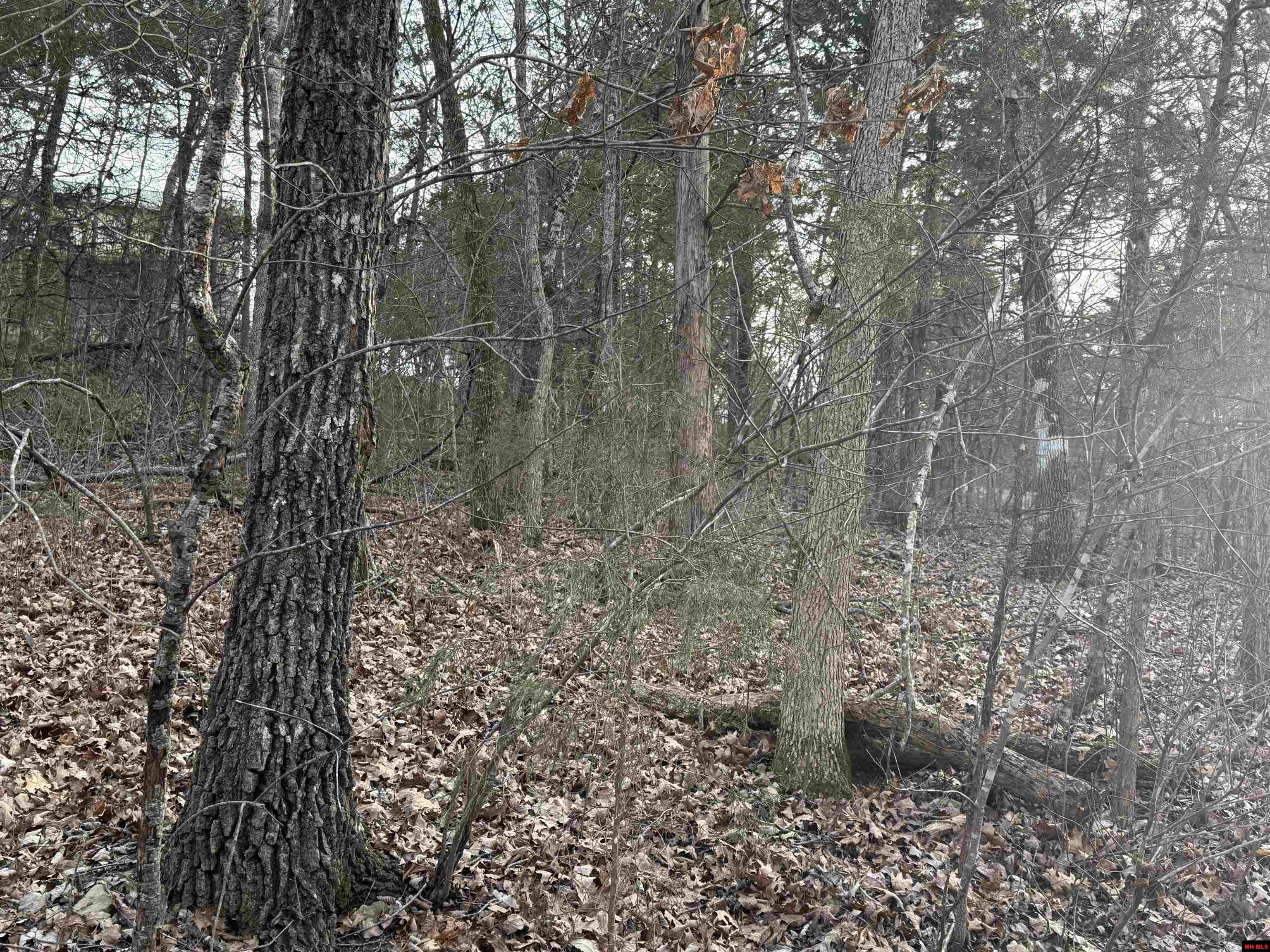 775-01692-000 Mallard Drive