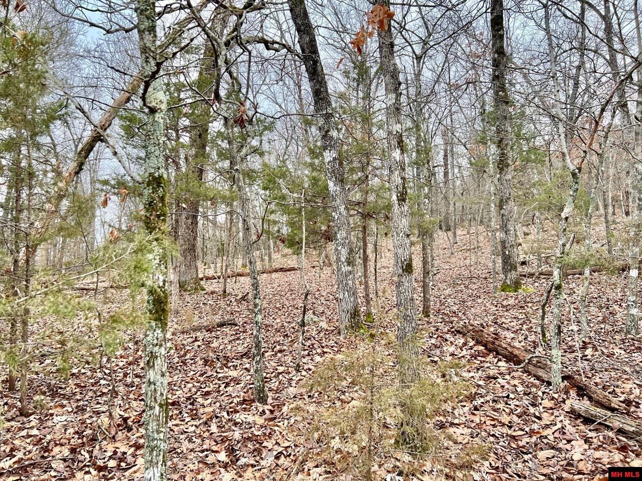 760 22314 000 Country Club Drive