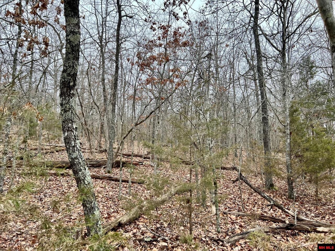 760 22314 000 Country Club Drive