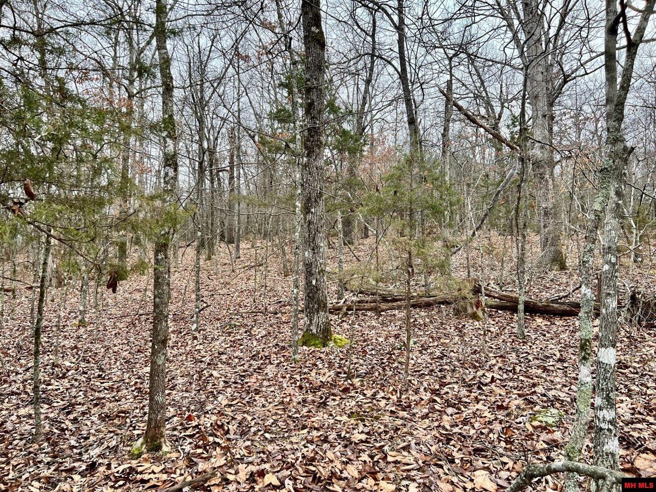 760 22314 000 Country Club Drive