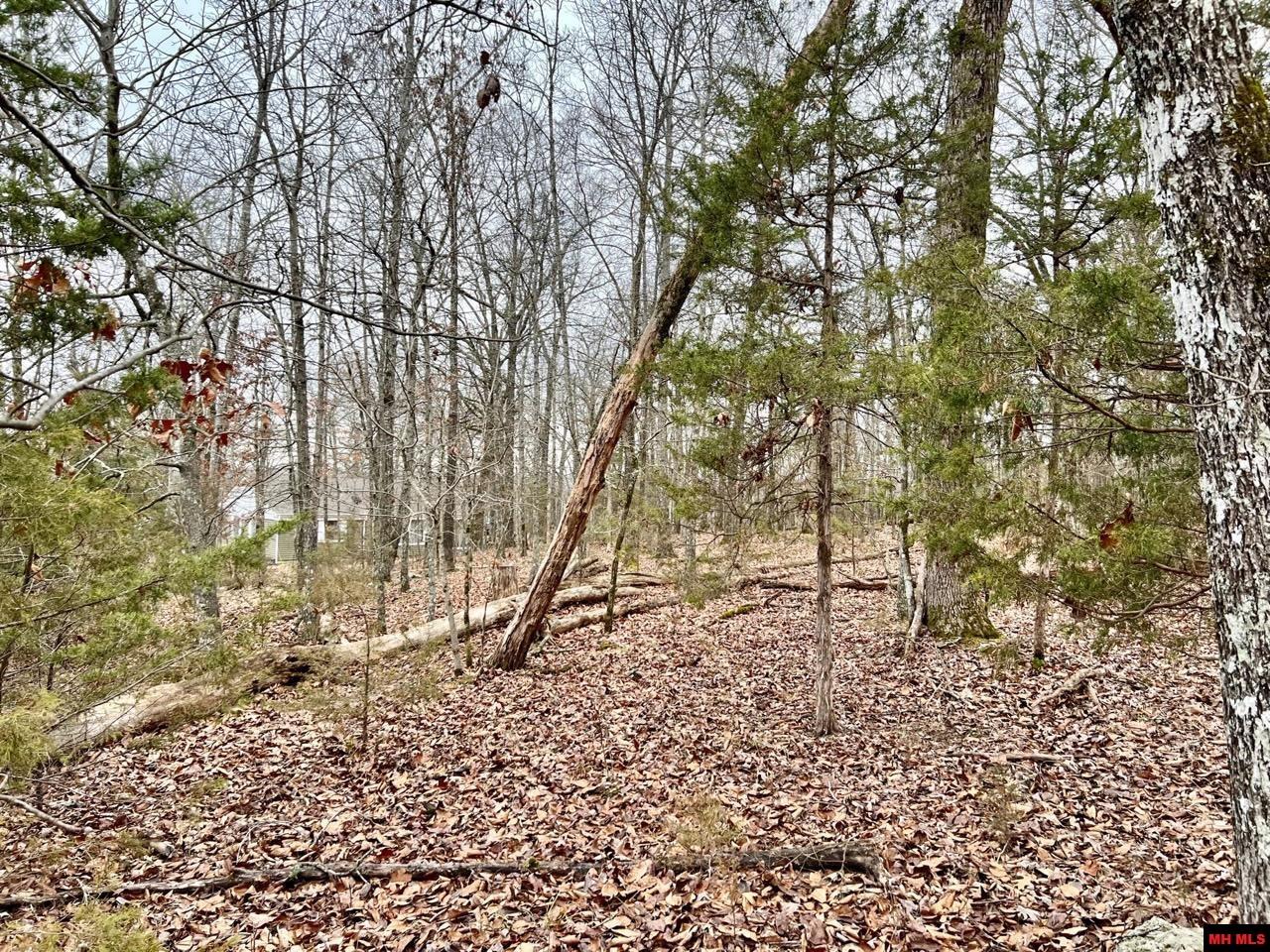 760 22314 000 Country Club Drive