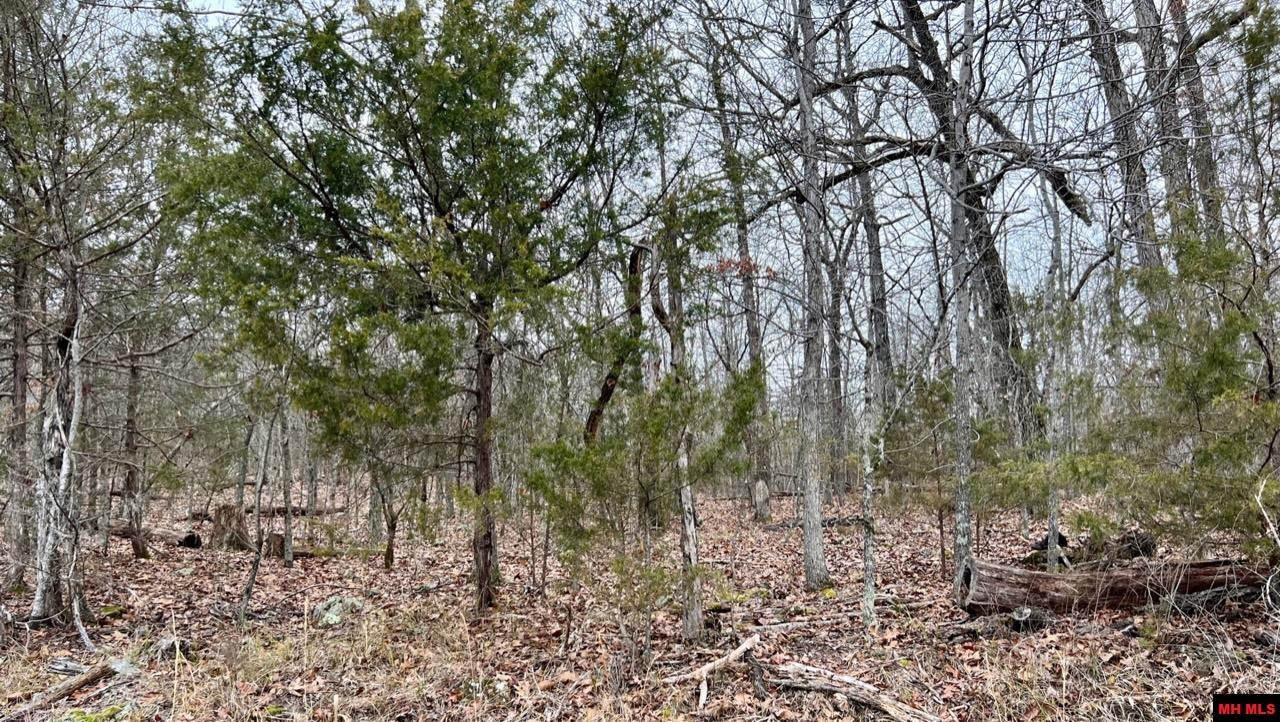 760 22314 000 Country Club Drive