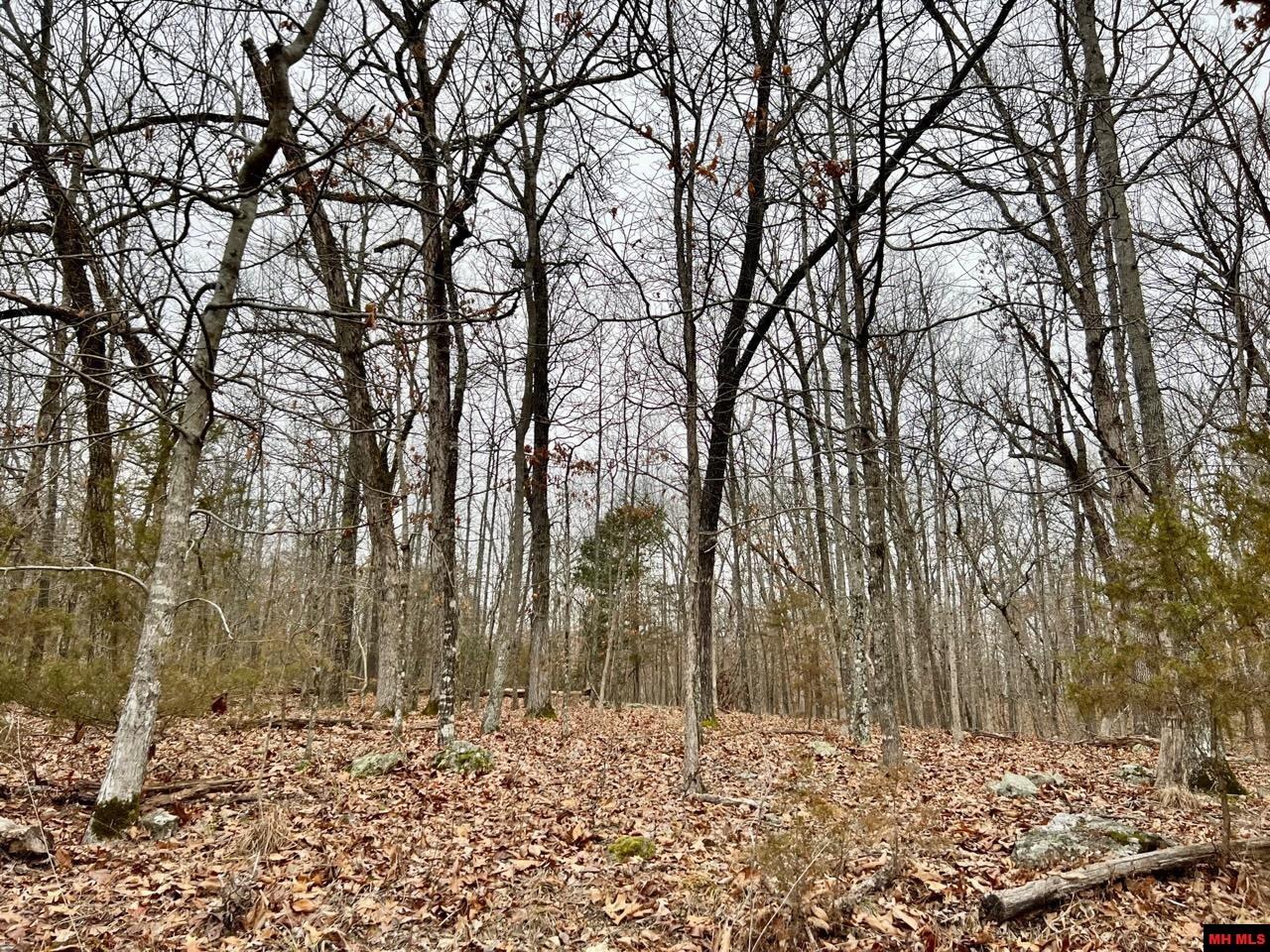 760 22314 000 Country Club Drive