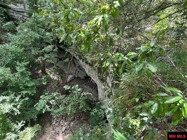 001-00673-000 Cozy Lane