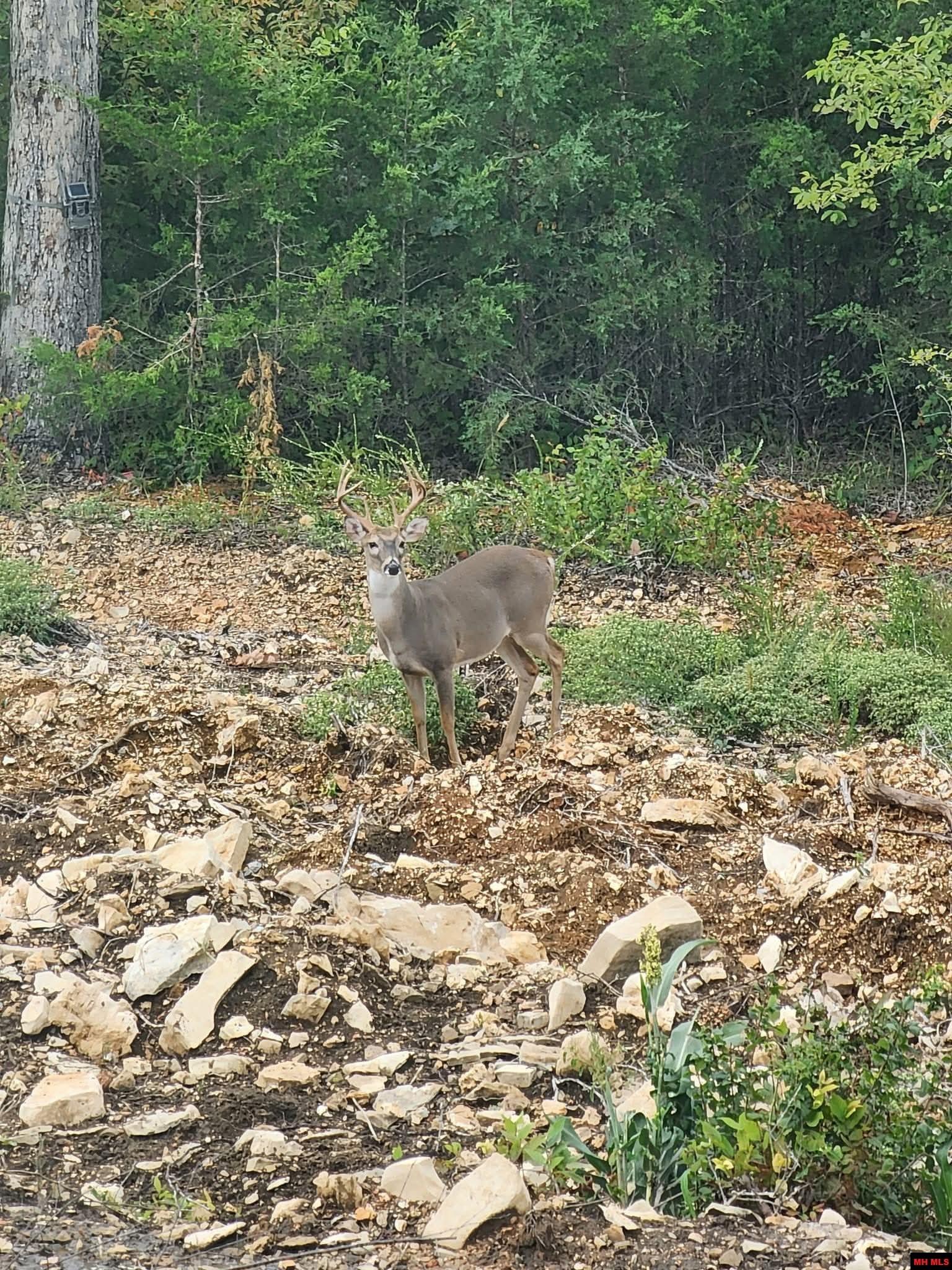 118 Linda Vista Lane