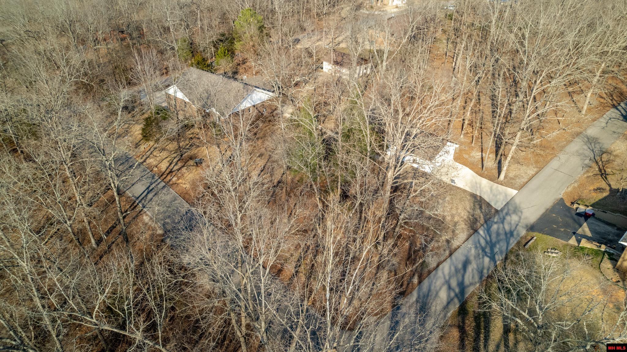 255 GLEN COVE DRIVE Lakeview, AR 72642