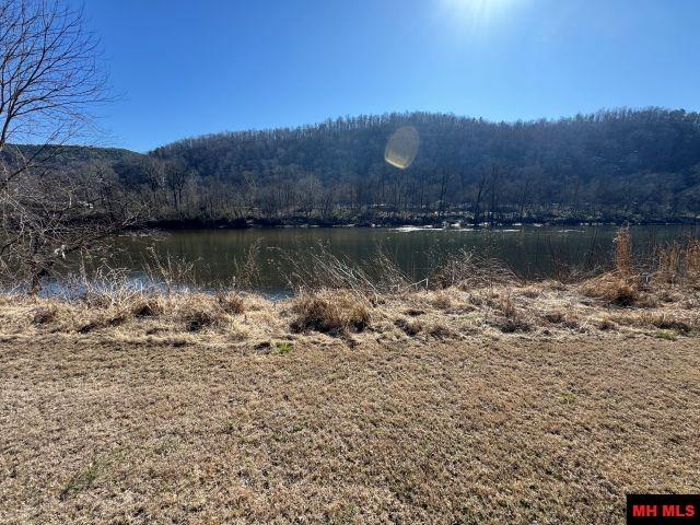 002-11202-009 Plane Tree Lane