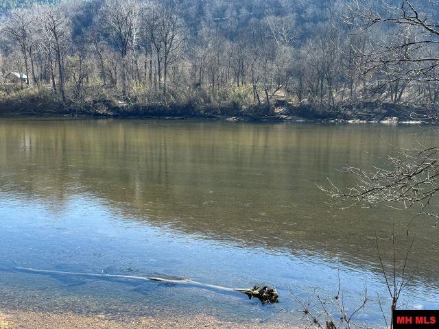 002-11202-009 Plane Tree Lane