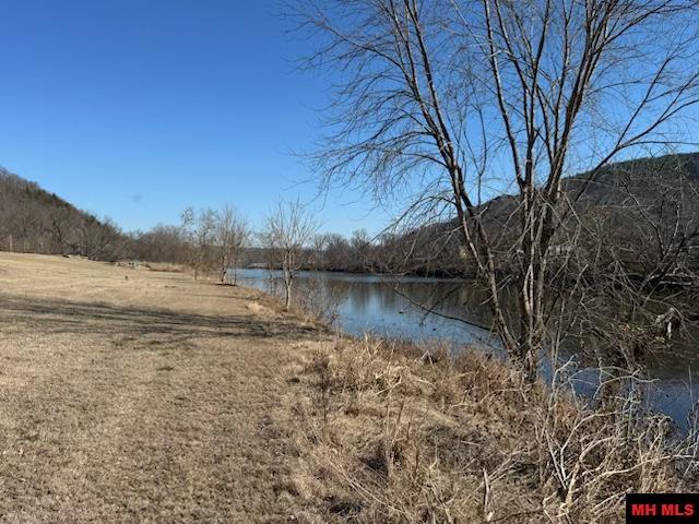 002-11202-009 Plane Tree Lane