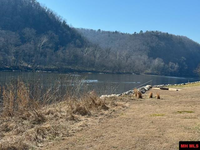 002-11202-009 Plane Tree Lane