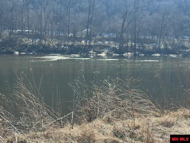 002-11202-009 Plane Tree Lane